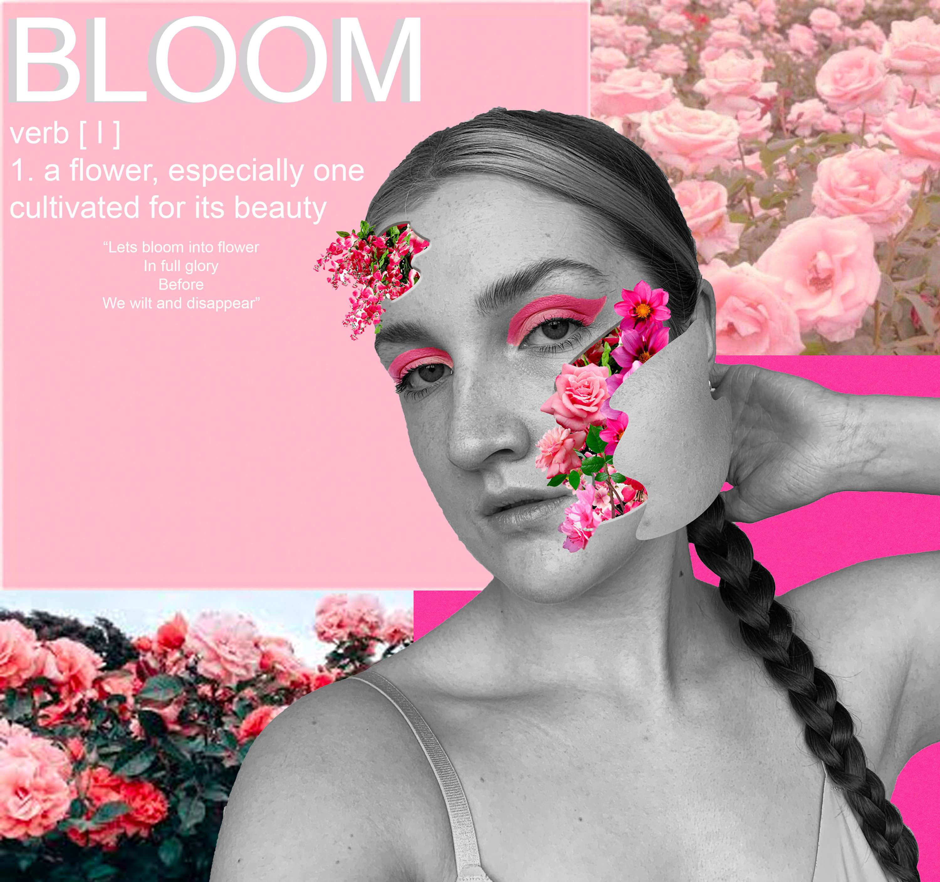 BLOOM by Alice Newlands