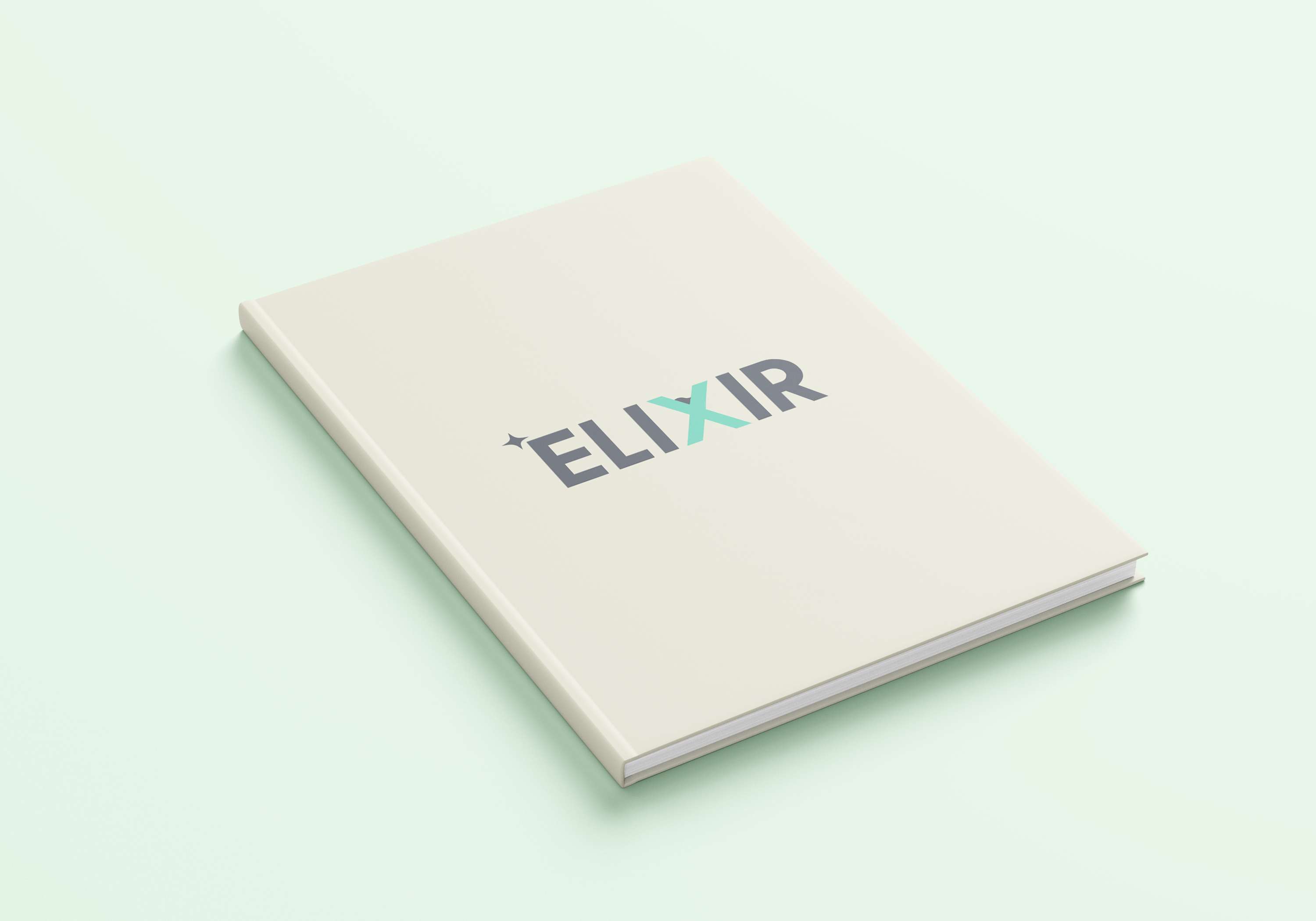 ELIXIR BUSINESS PLAN by Annie Taylor