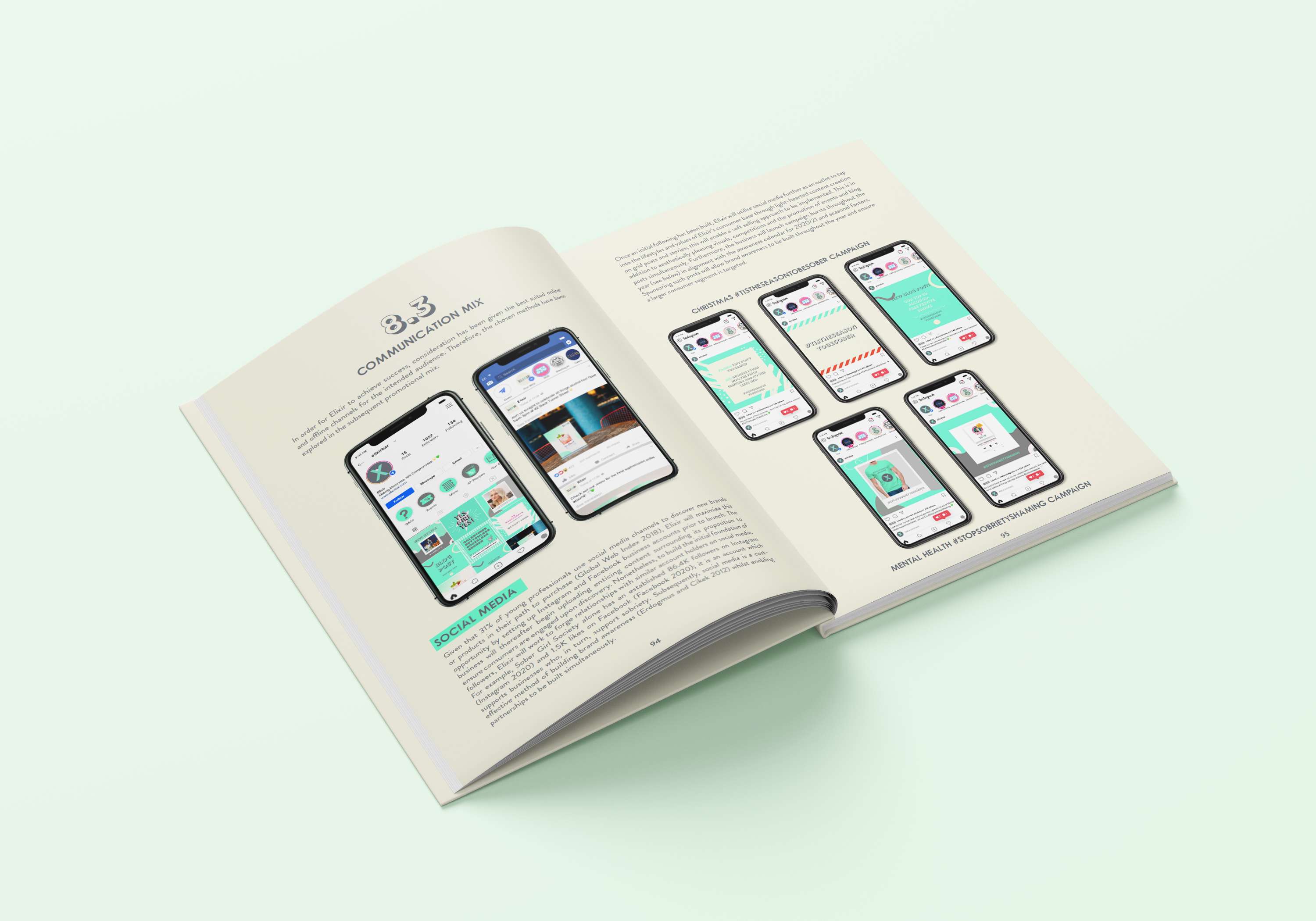 ELIXIR BUSINESS PLAN by Annie Taylor