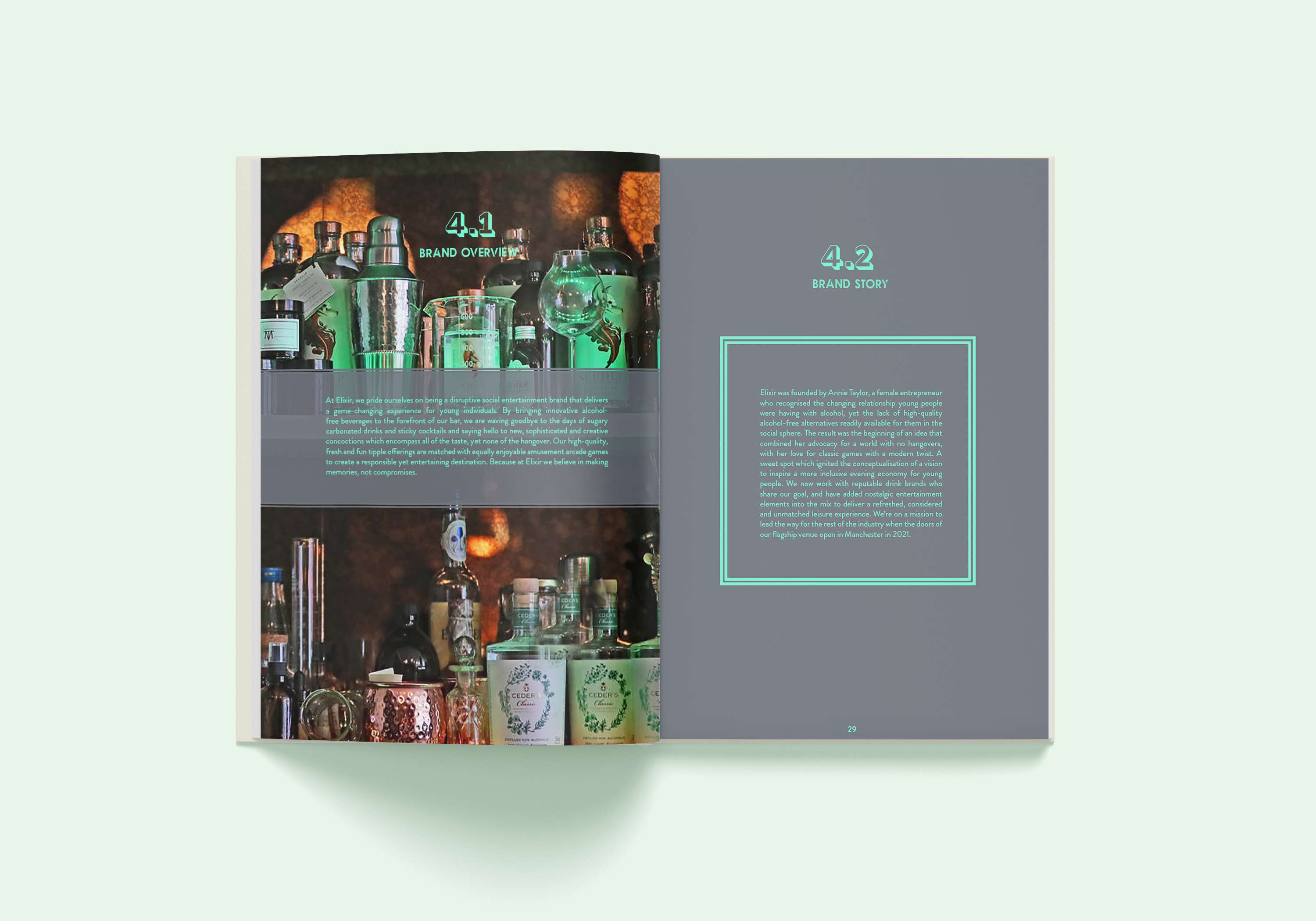 ELIXIR BUSINESS PLAN by Annie Taylor
