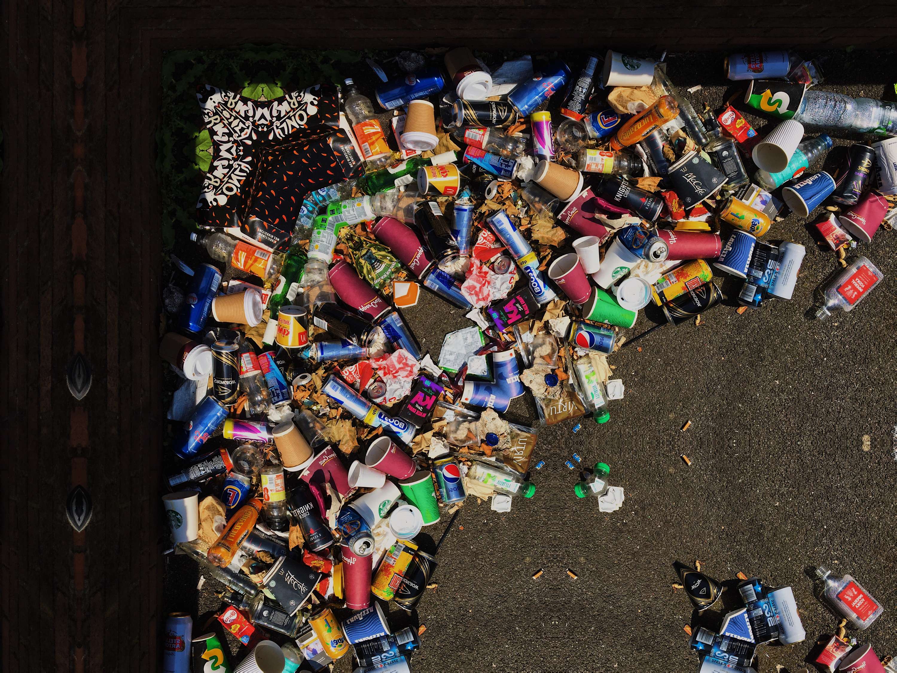 Litter Bugs by GEORGIA MAE