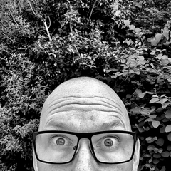 Mike Sewell
