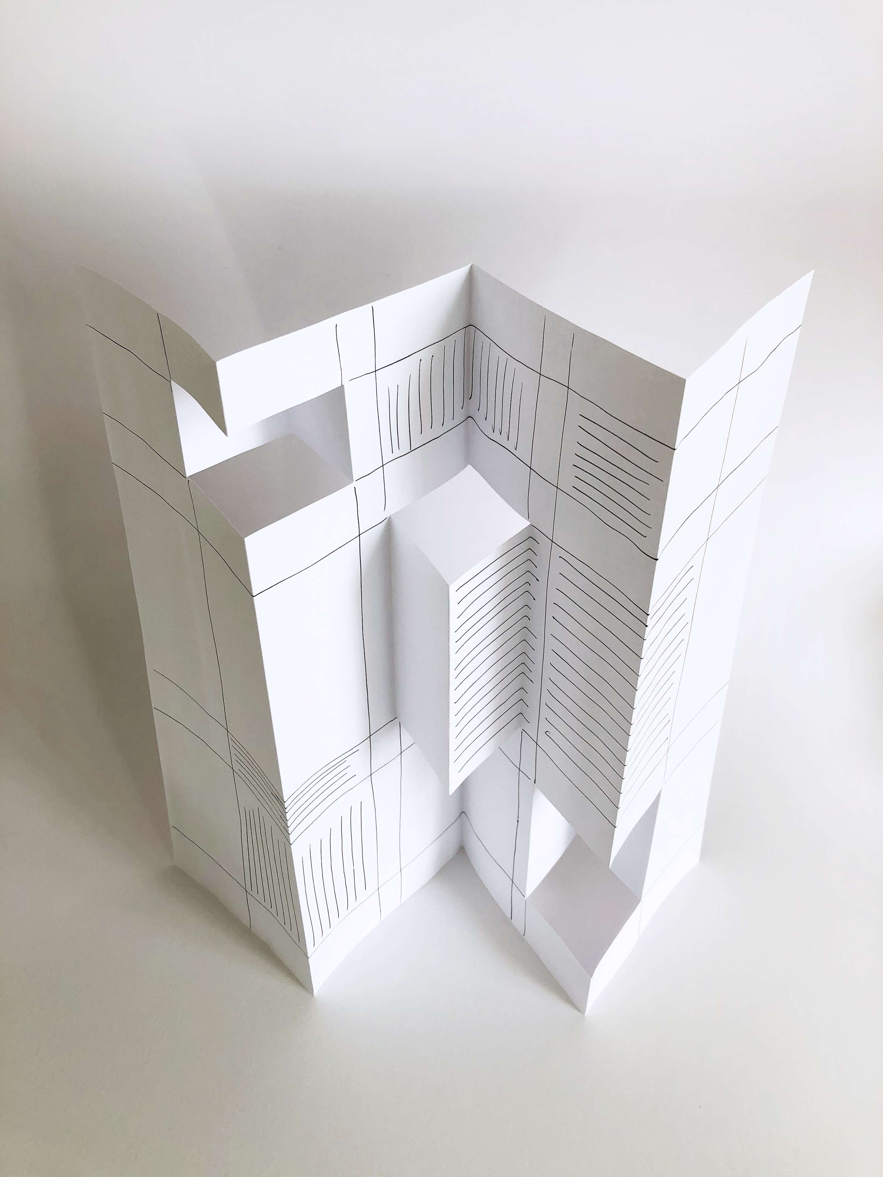 Of Polarisation by Sarah Twelves