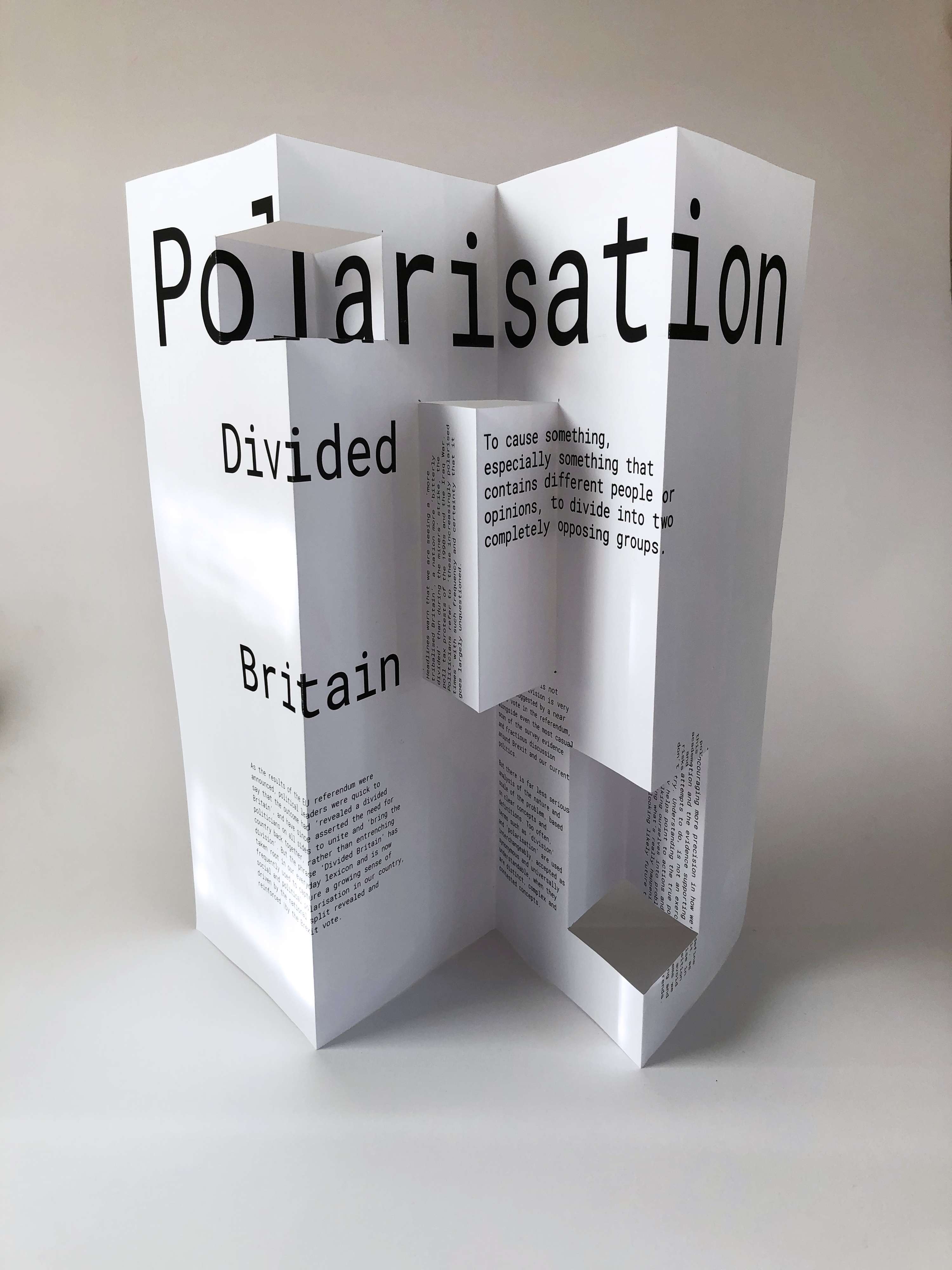 Of Polarisation by Sarah Twelves