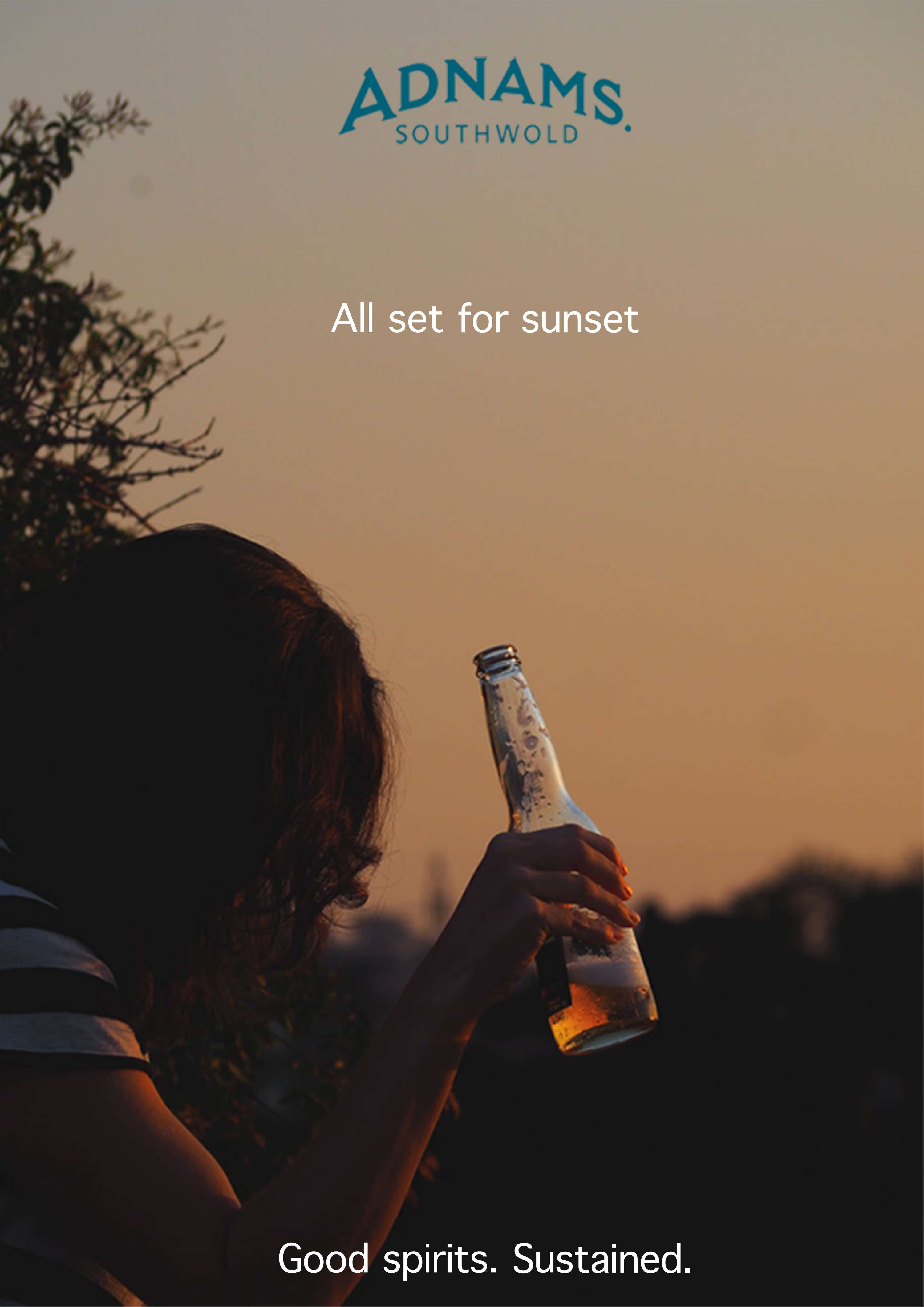 Adnams campaign by William Norton