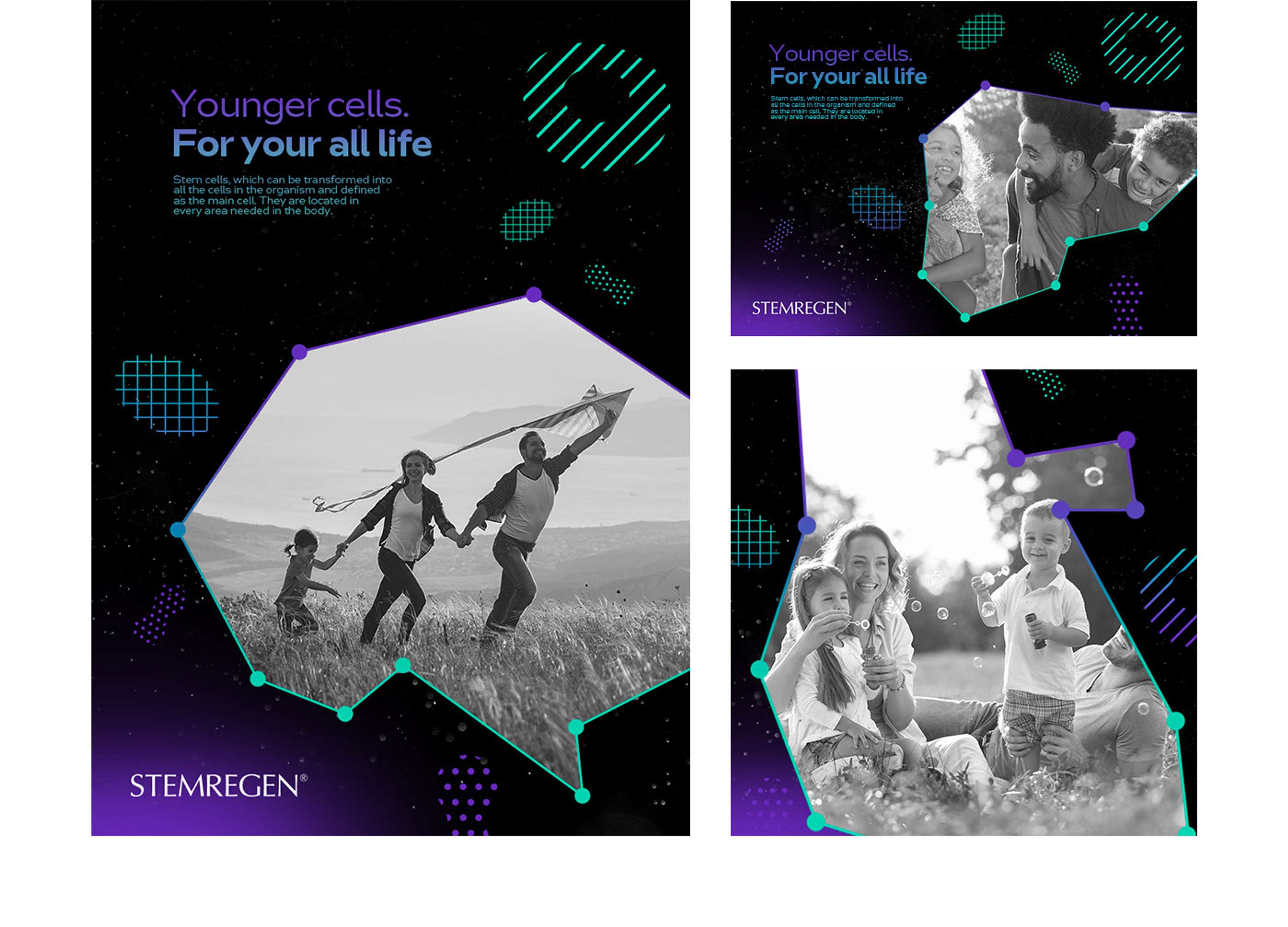 Stemregen - Branding Design by Hakan Ihtiyaroglu