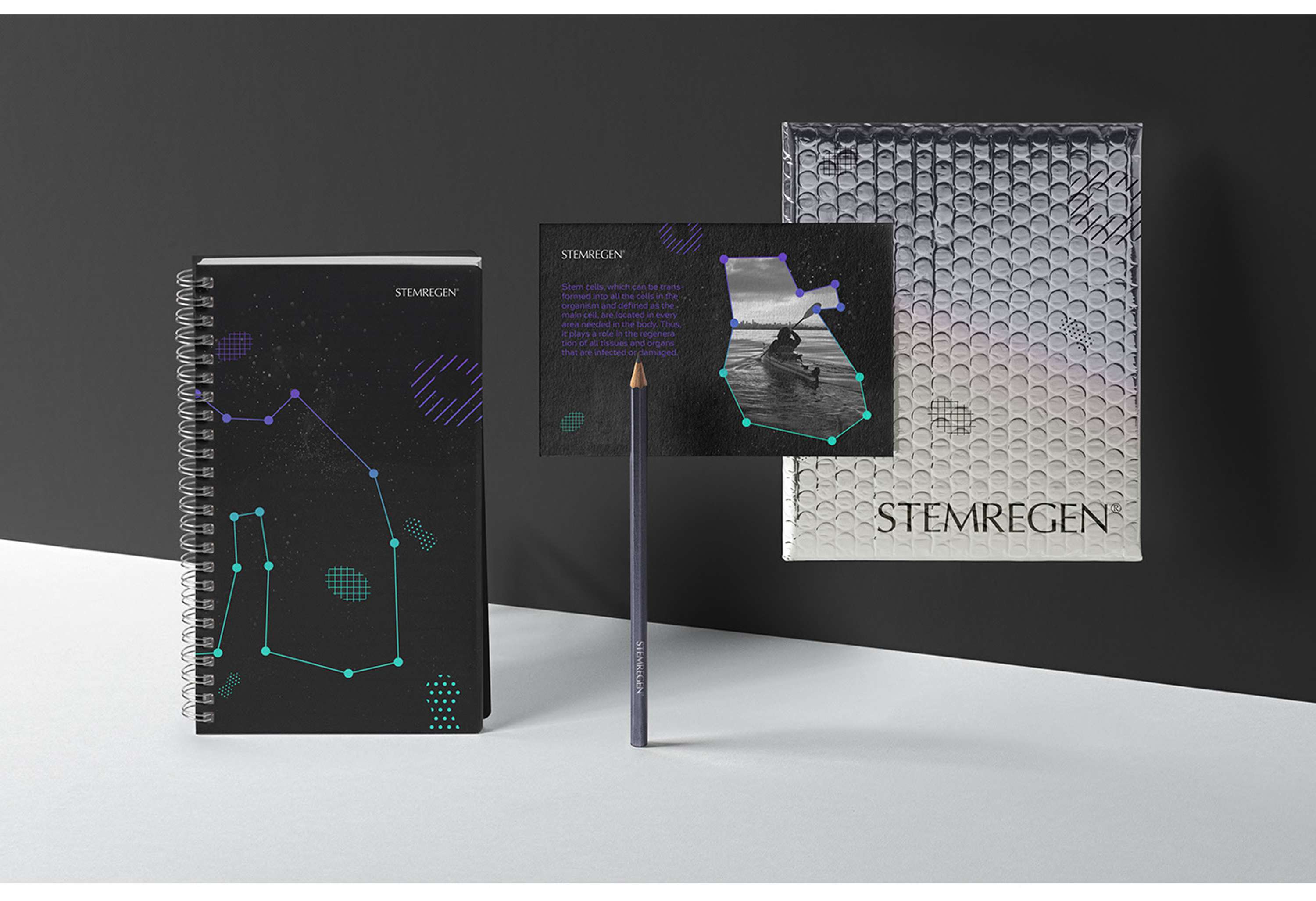 Stemregen - Branding Design by Hakan Ihtiyaroglu