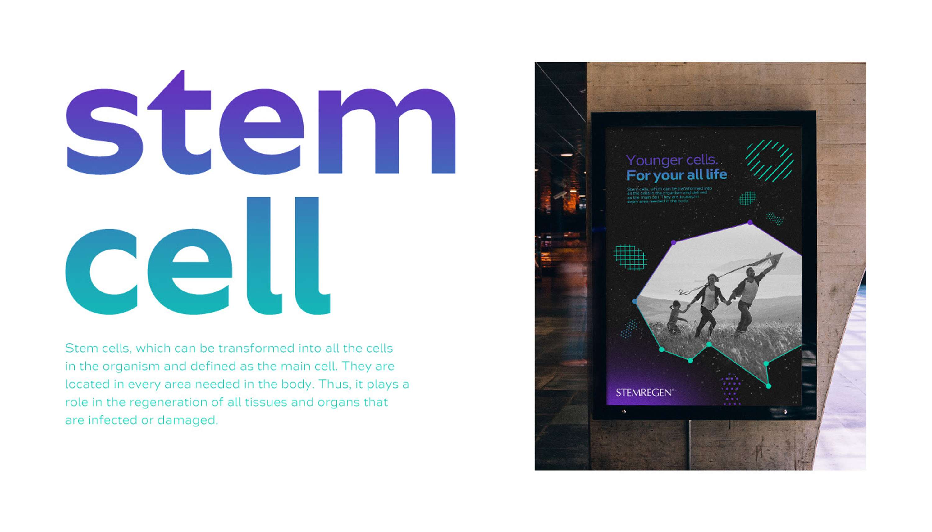 Stemregen - Branding Design by Hakan Ihtiyaroglu