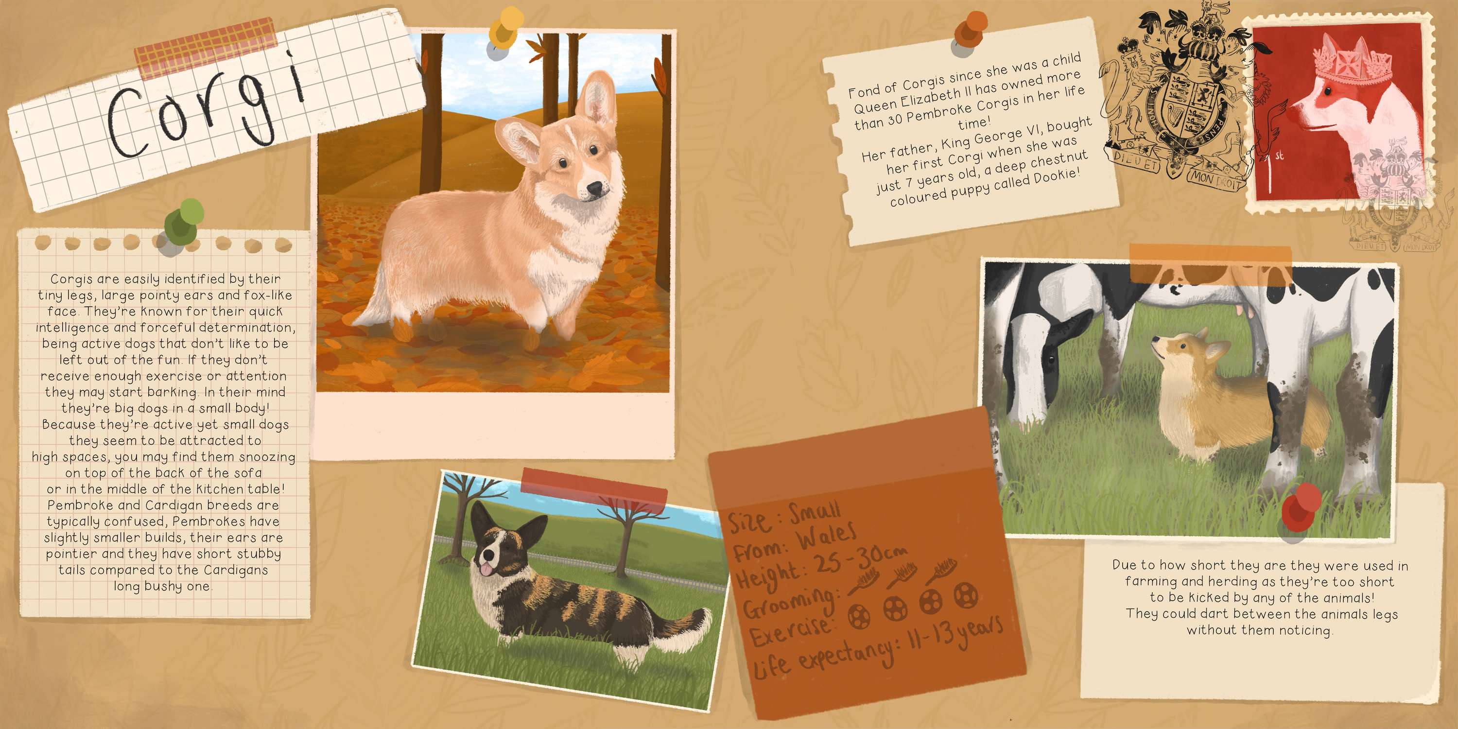 Understanding Dogs by Molly O'Connor