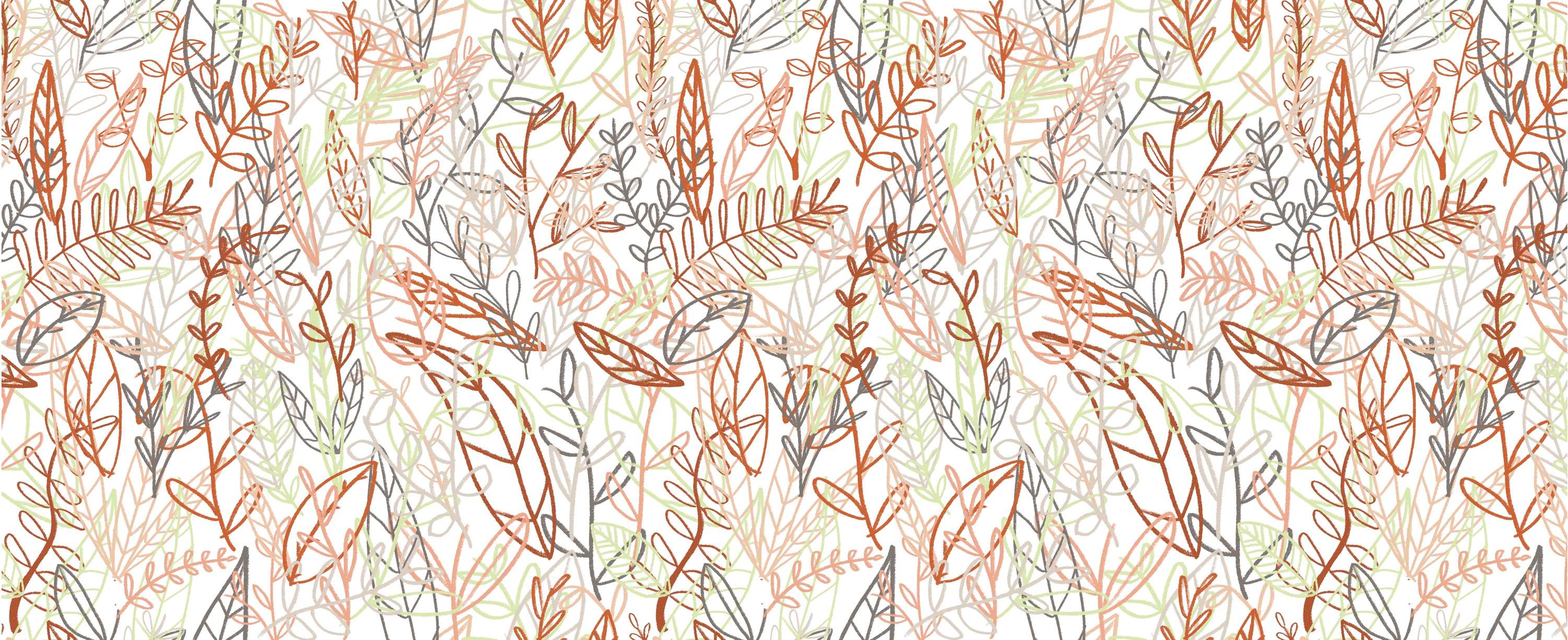 Patterns by Molly O'Connor