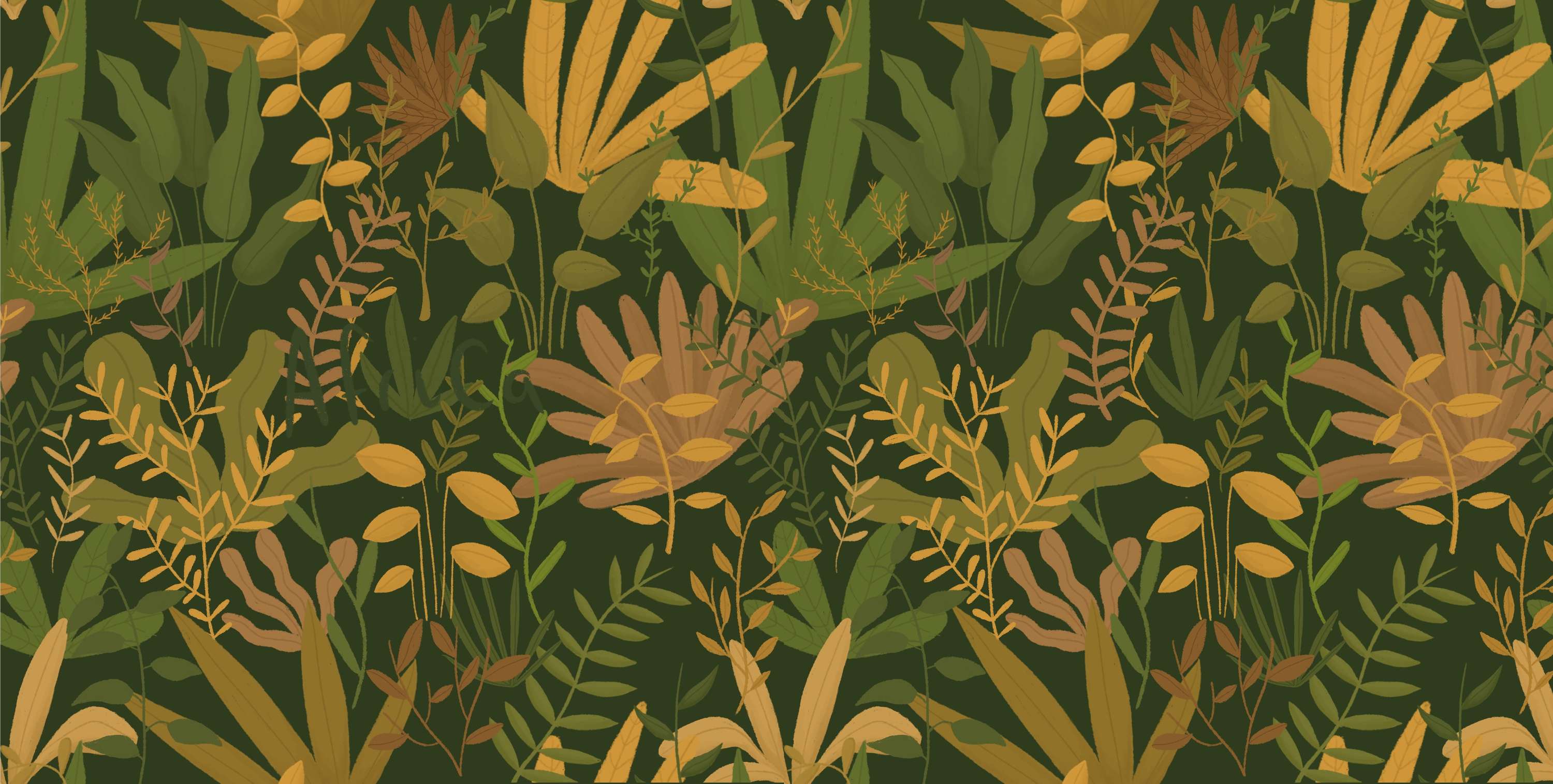Patterns by Molly O'Connor