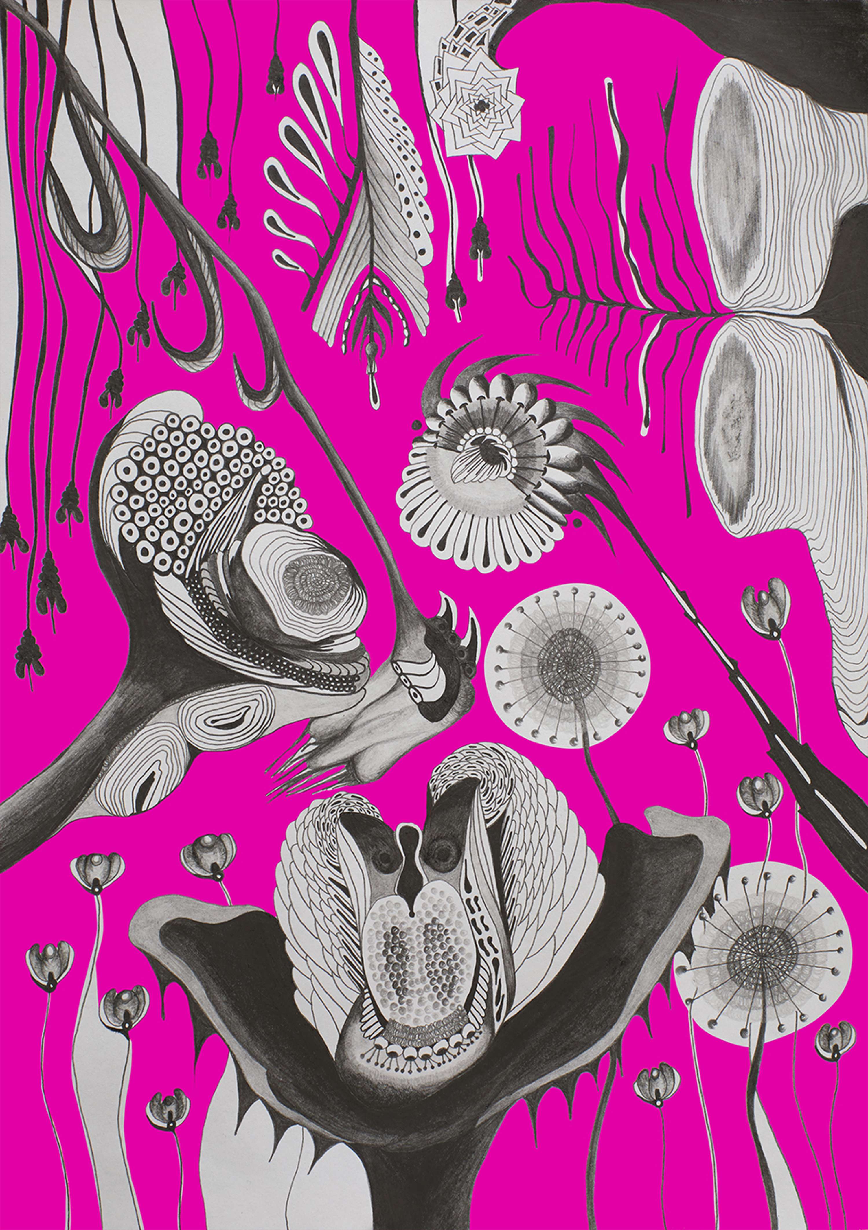 ILLUSTRATIONS V.1 by Alejandra Castillo Madera