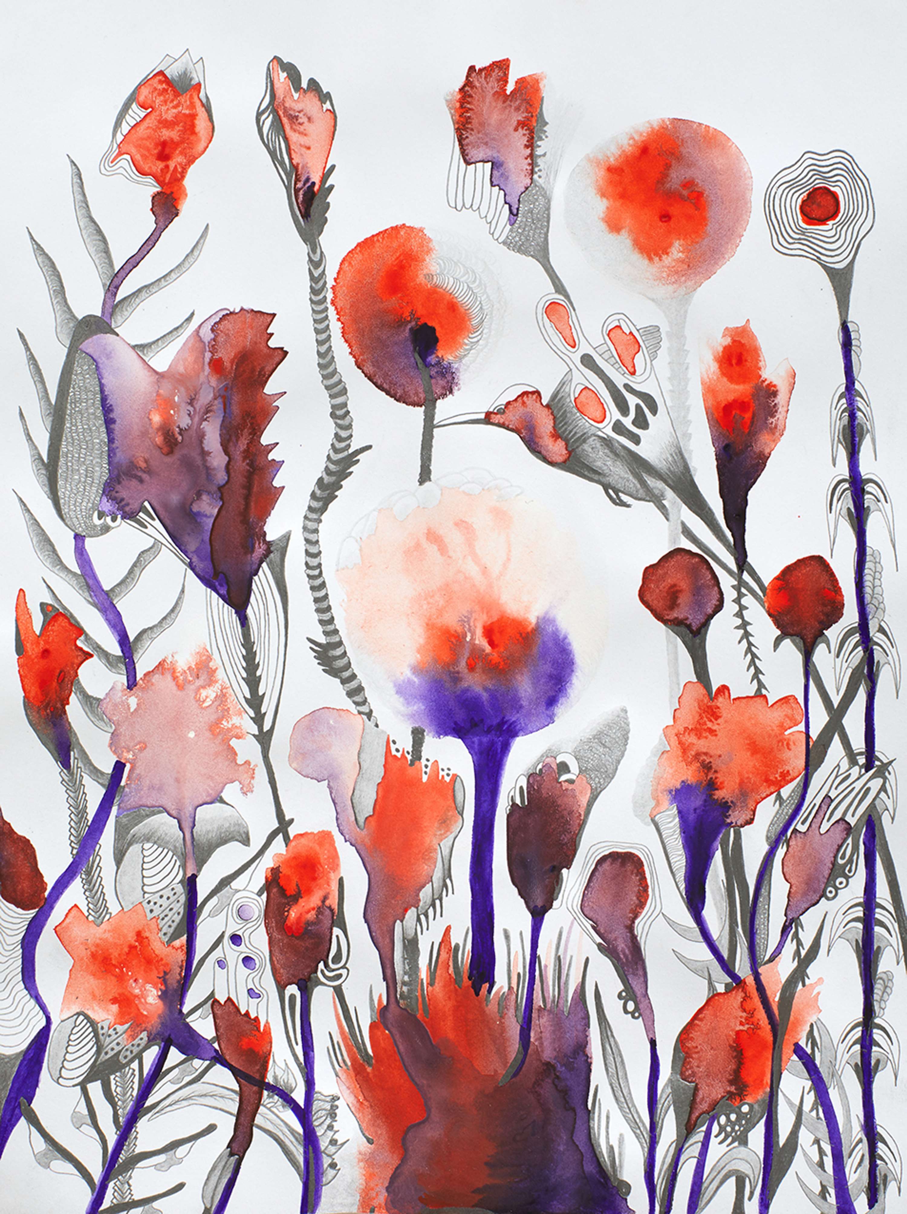 ILLUSTRATIONS V.1 by Alejandra Castillo Madera