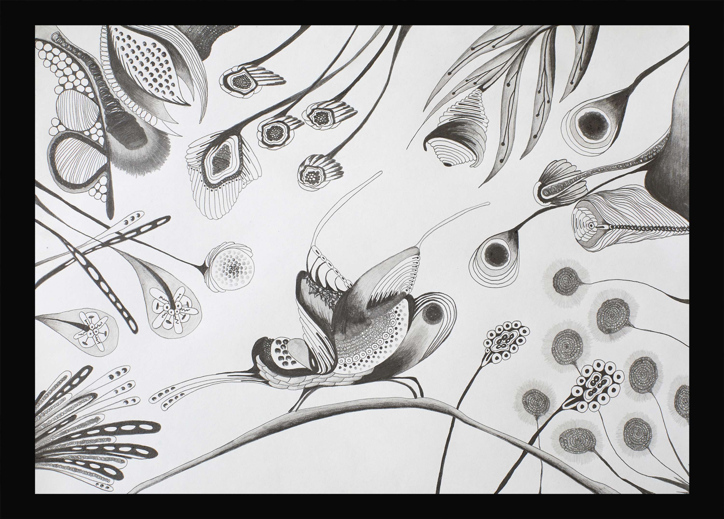ILLUSTRATIONS V.1 by Alejandra Castillo Madera