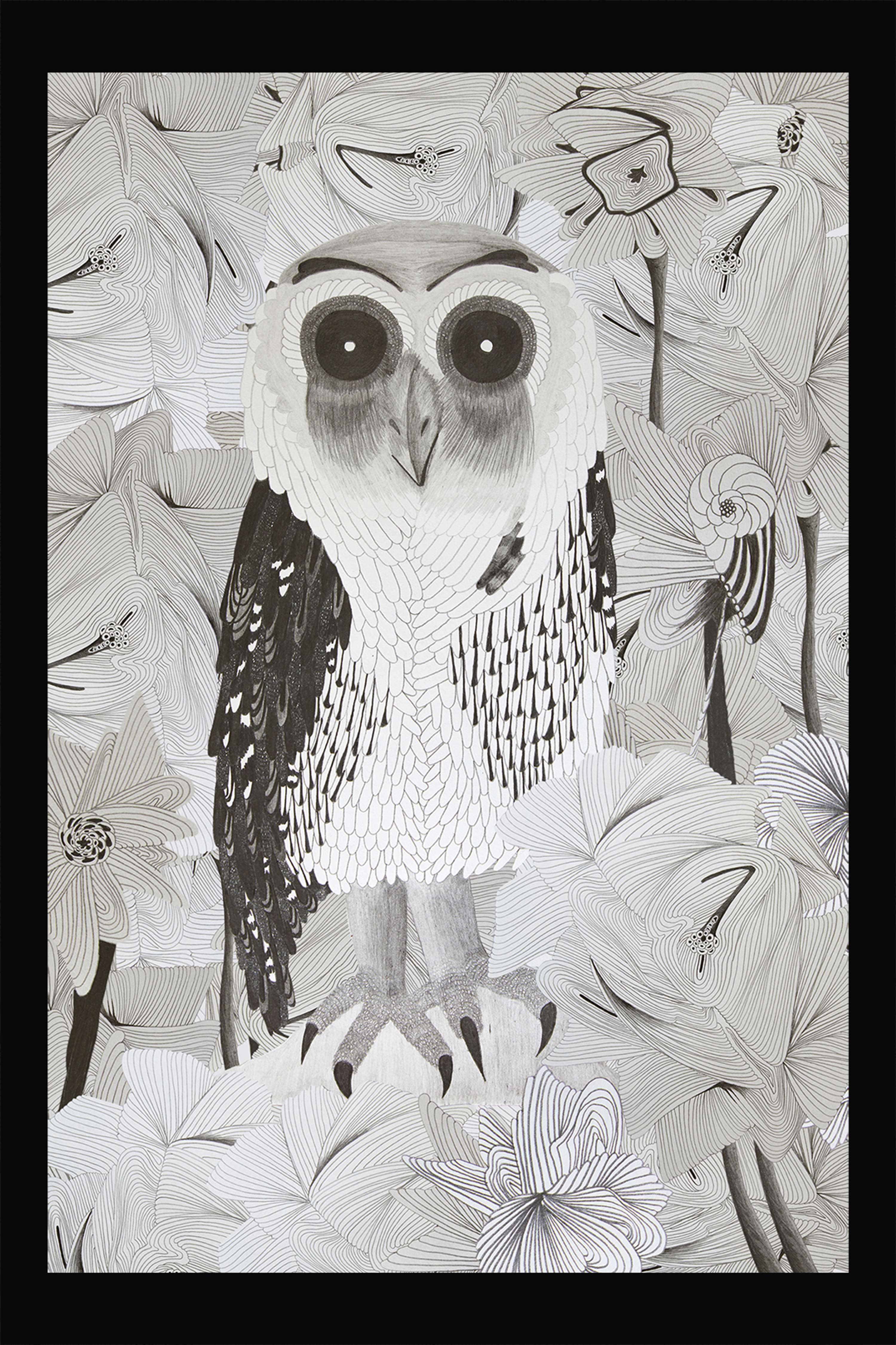 ILLUSTRATIONS V.1 by Alejandra Castillo Madera