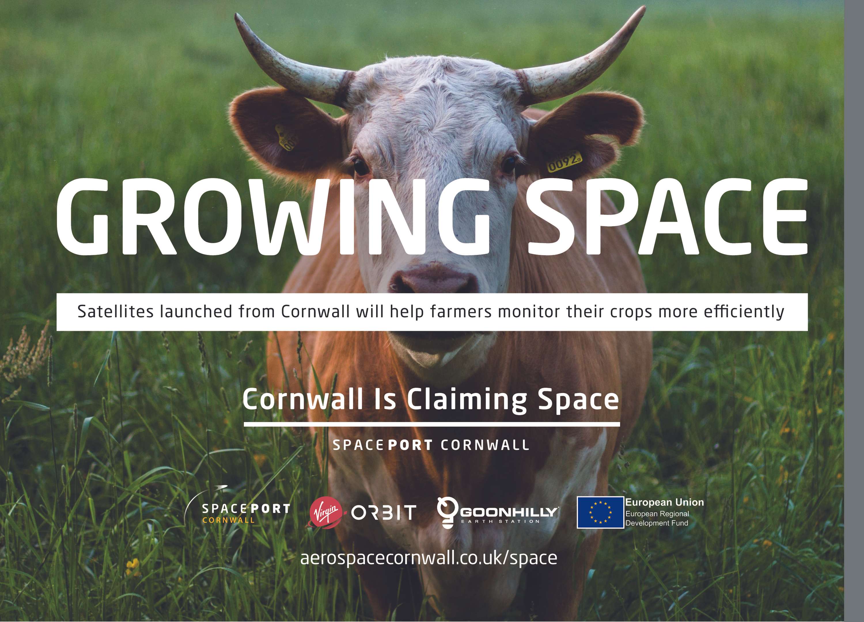 Cornwall's Space by Sarah Price