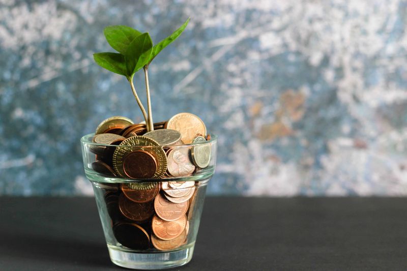 Channeling Your Revenues into the Right Direction: A Guide to Directory Site Monetization by Anna Sotnikova