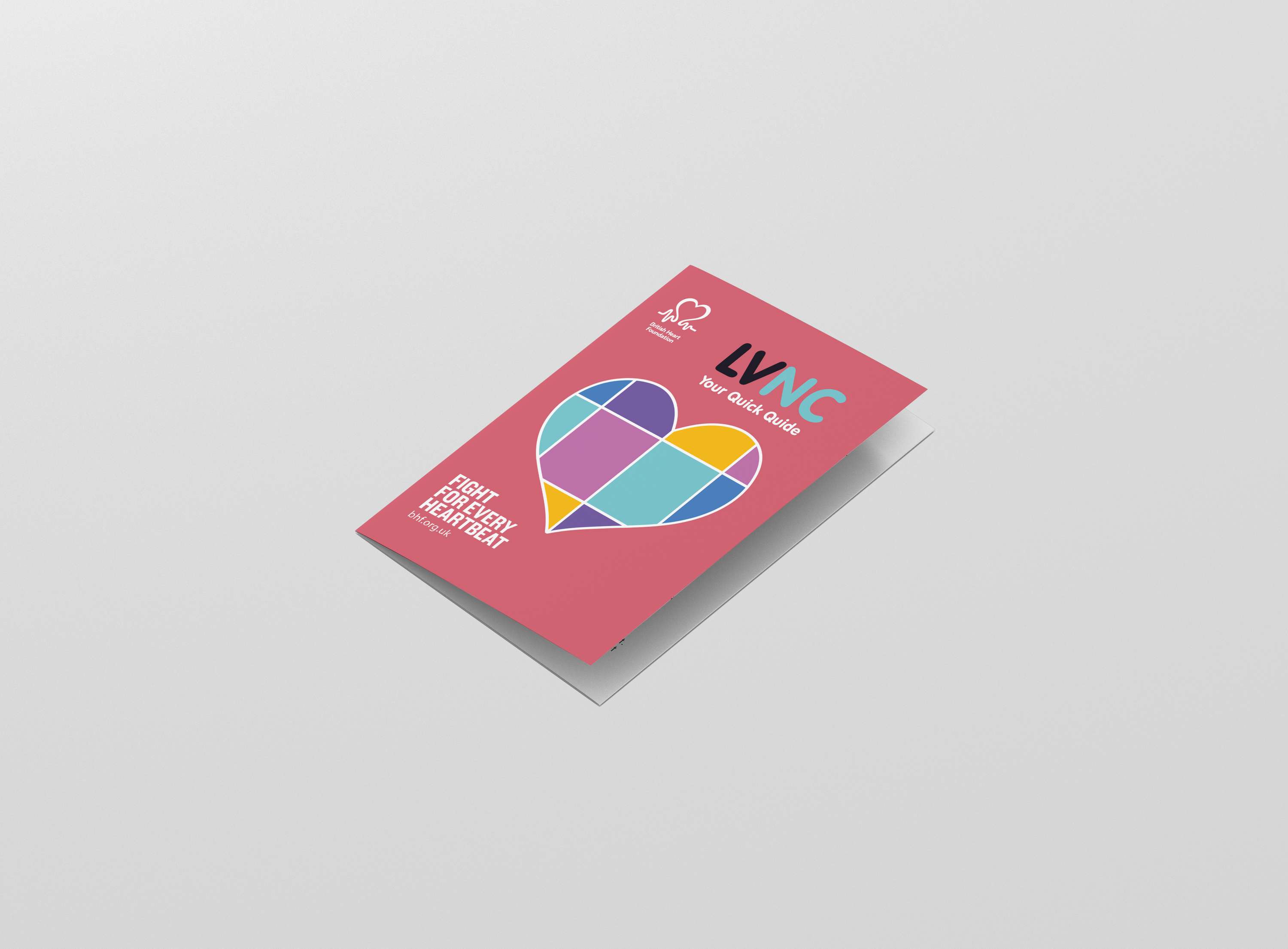 LVNC Pamphlet by Joelle Evans