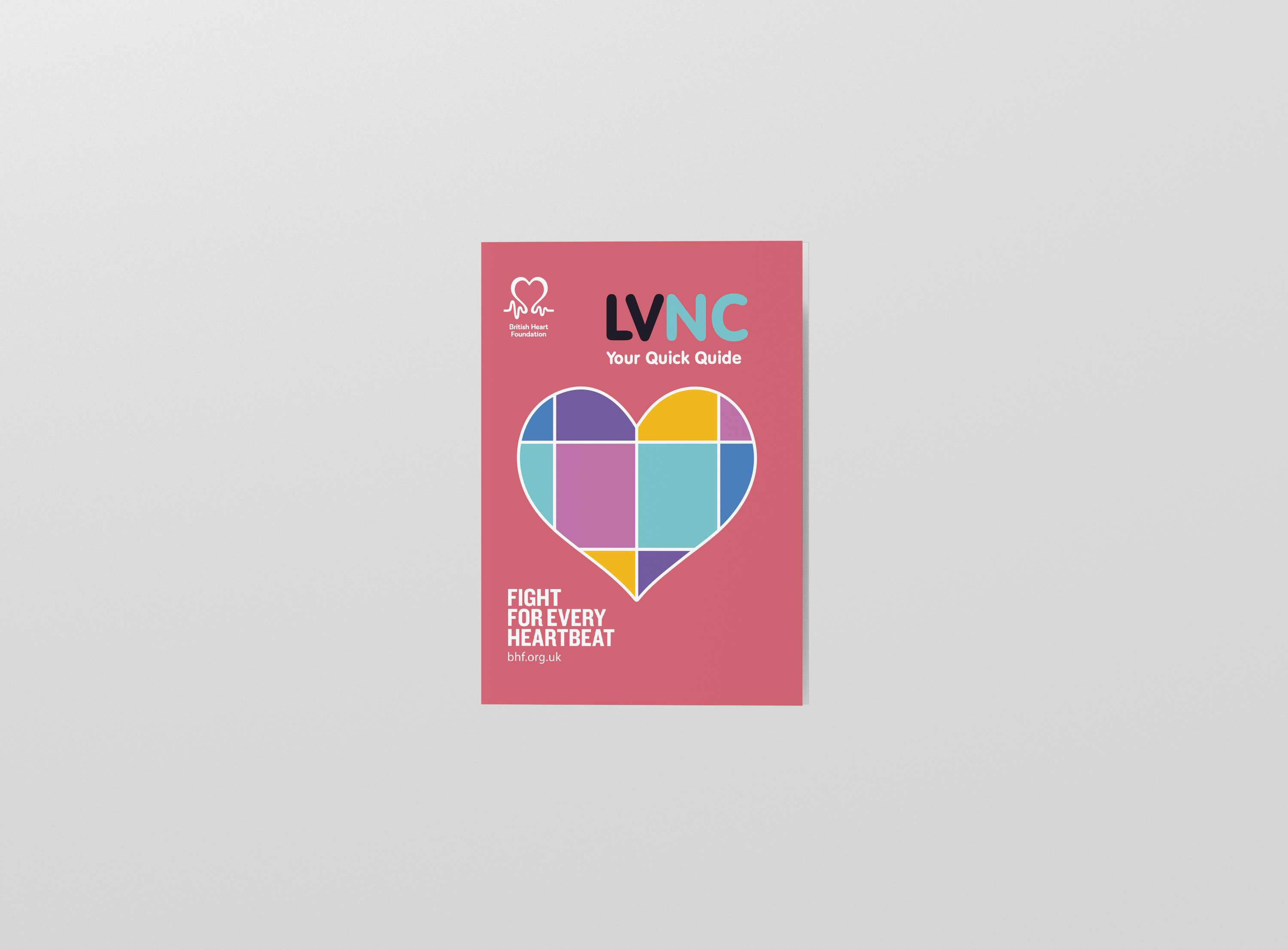 LVNC Pamphlet by Joelle Evans