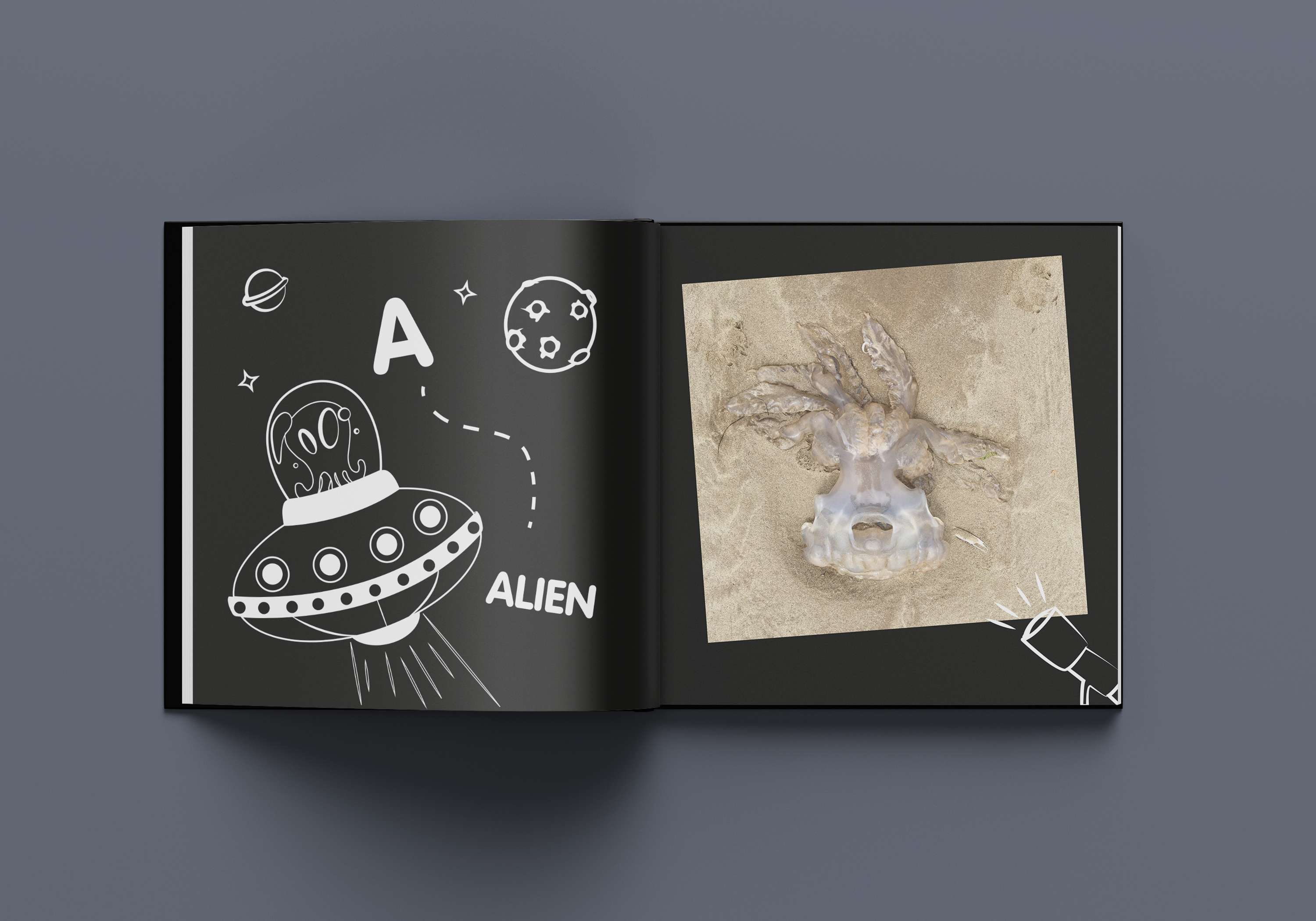 The A-Z of Jellyfish by Joelle Evans