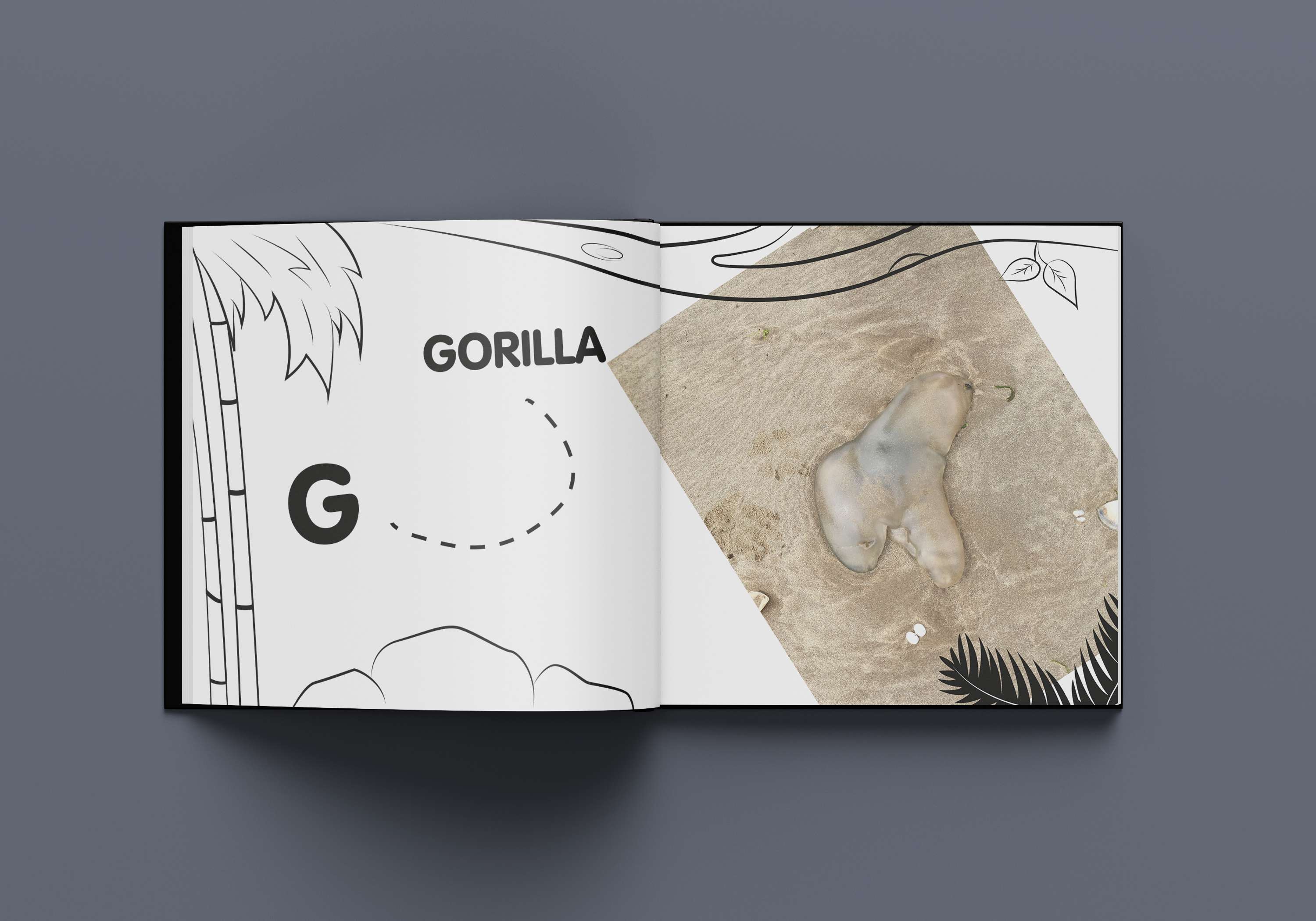 The A-Z of Jellyfish by Joelle Evans