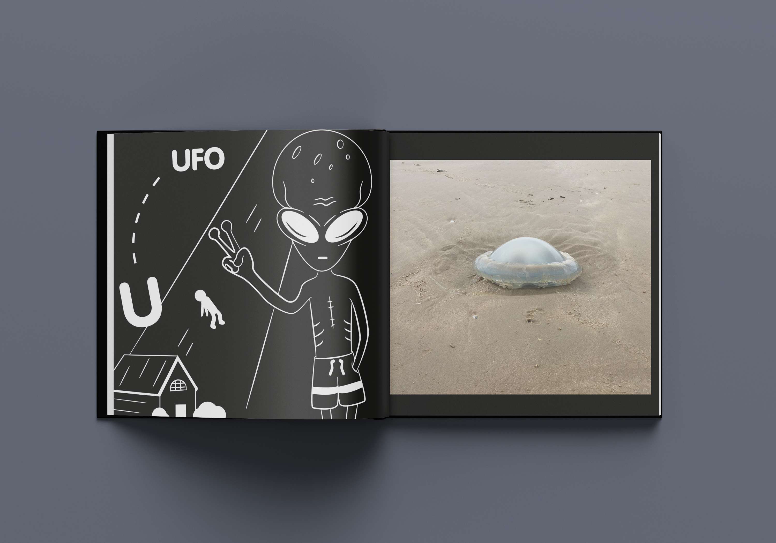 The A-Z of Jellyfish by Joelle Evans