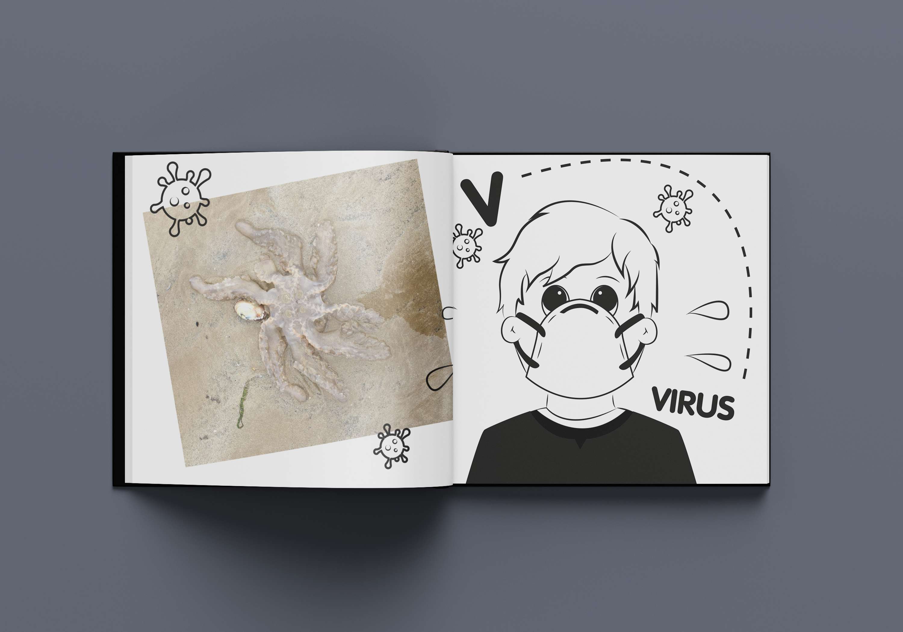 The A-Z of Jellyfish by Joelle Evans