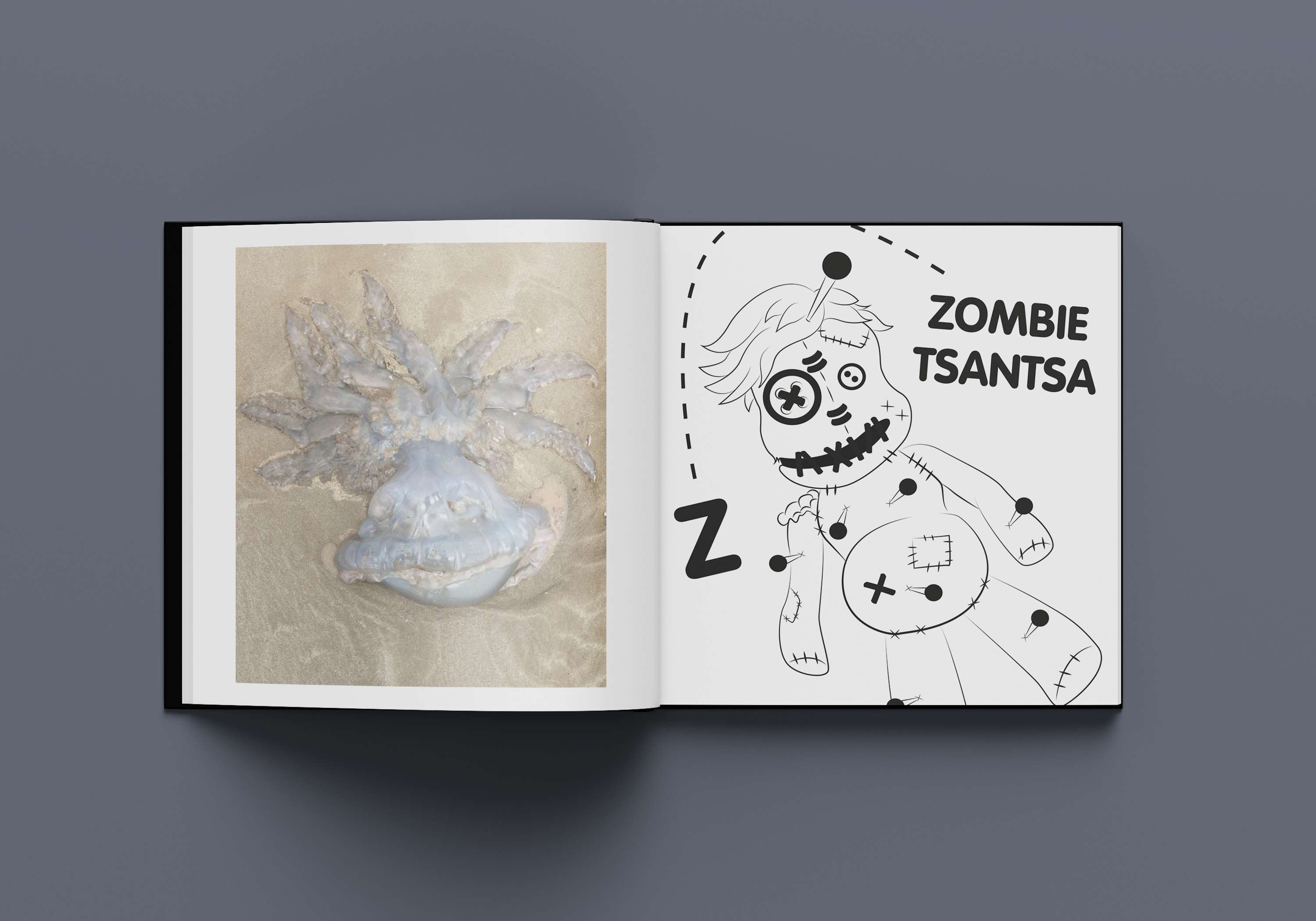 The A-Z of Jellyfish by Joelle Evans