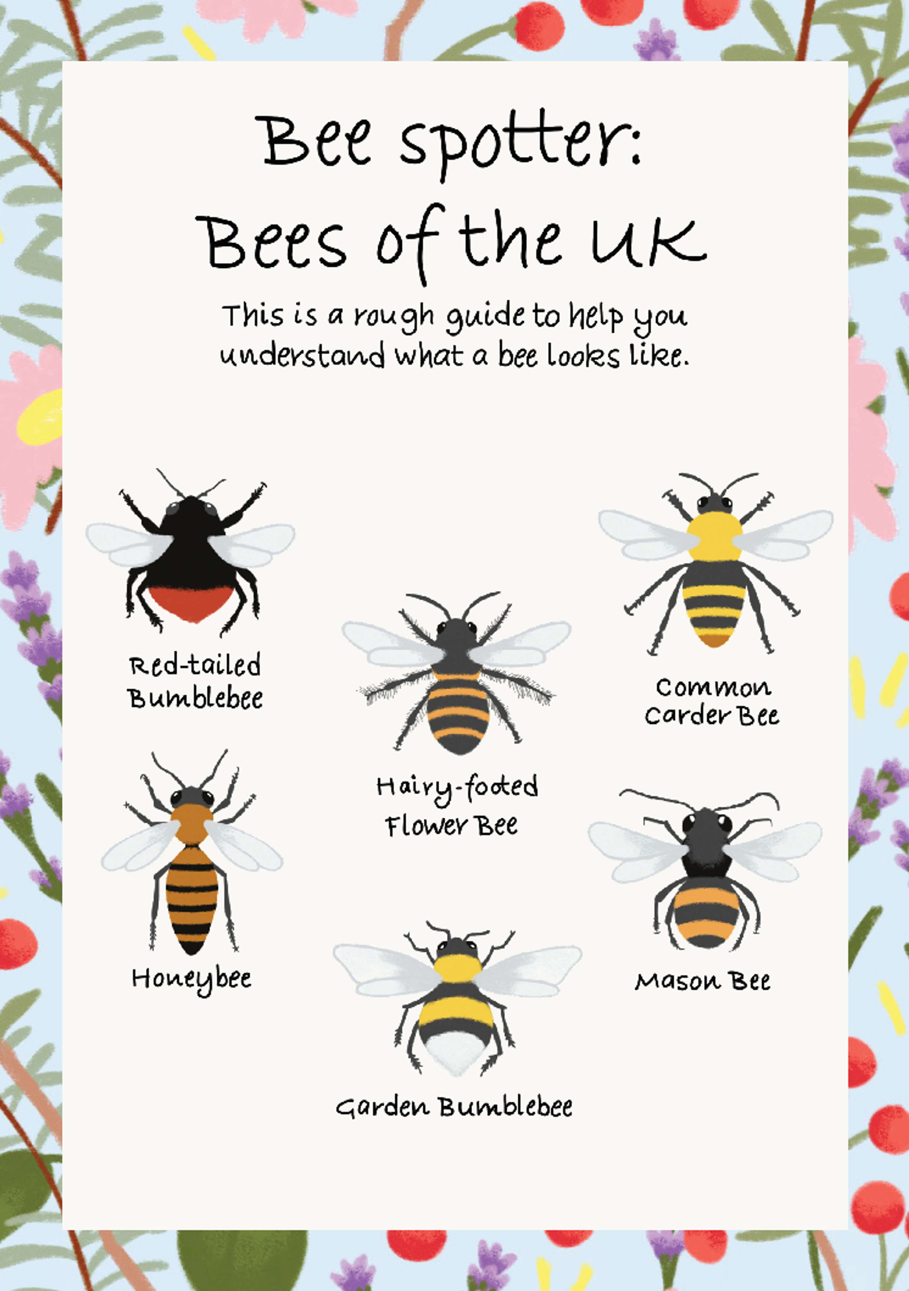 Bee Spotter Guide by Lauren Gray
