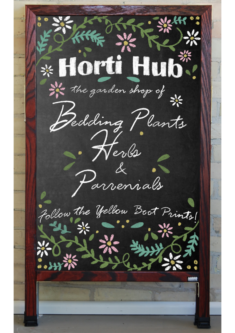 Chalk Board Designs by Lauren Gray