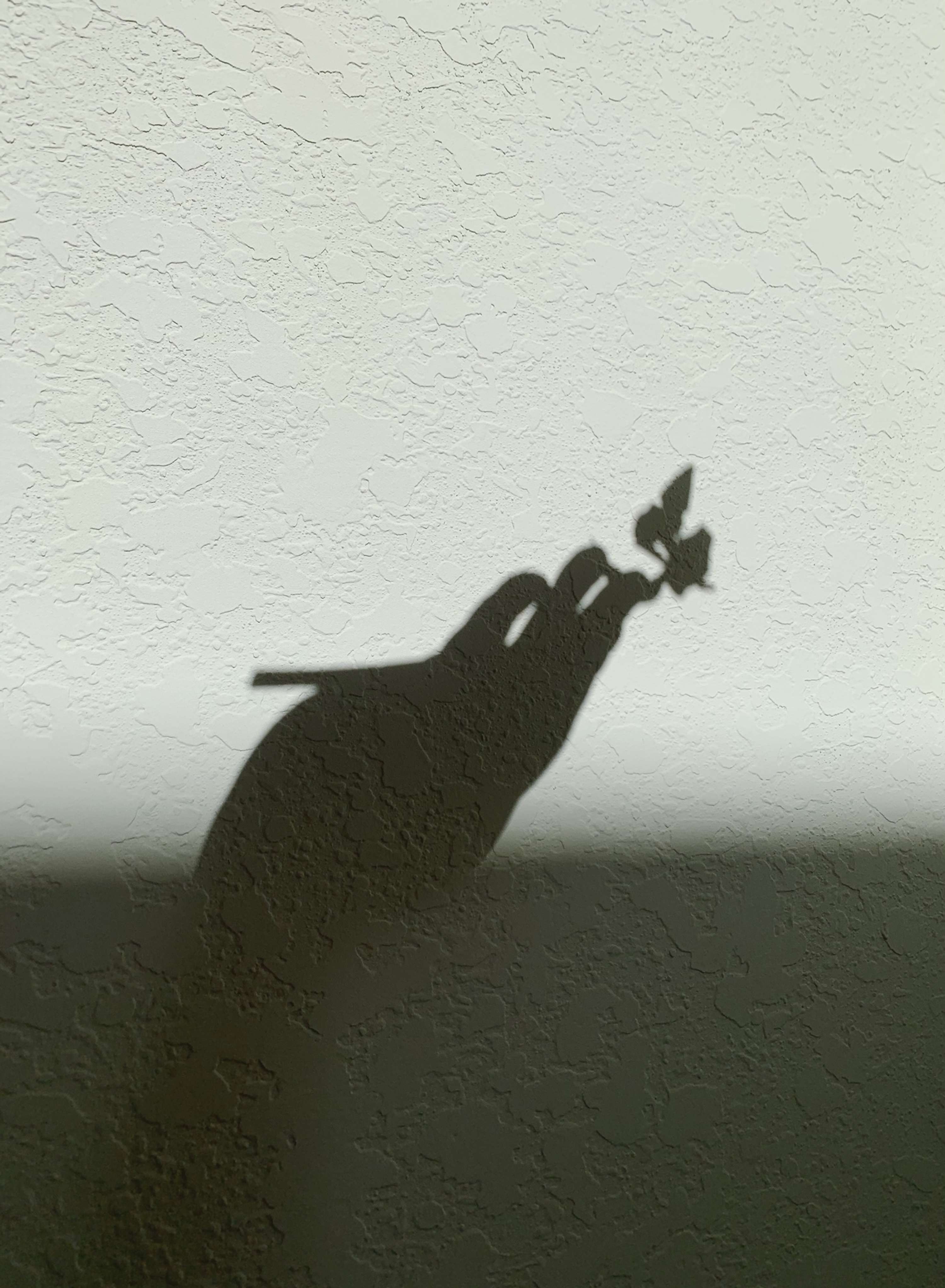 Delicate Shapes by Adenike Adelekan