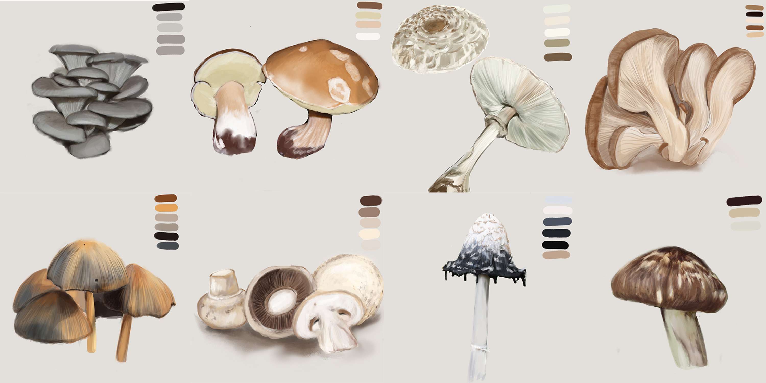 Mushroom Town - Concept art and Character design by BH Guo
