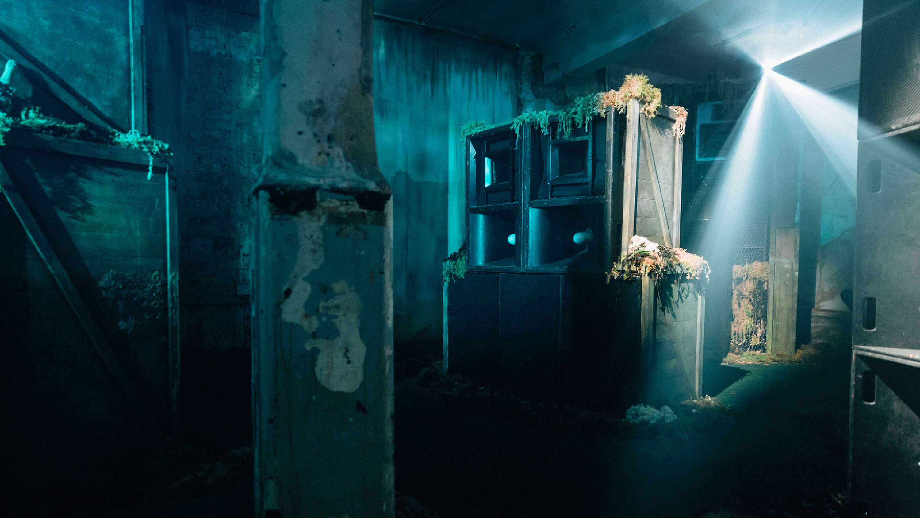 Veuve Clicquot: The Widow Series by Hingston Studio