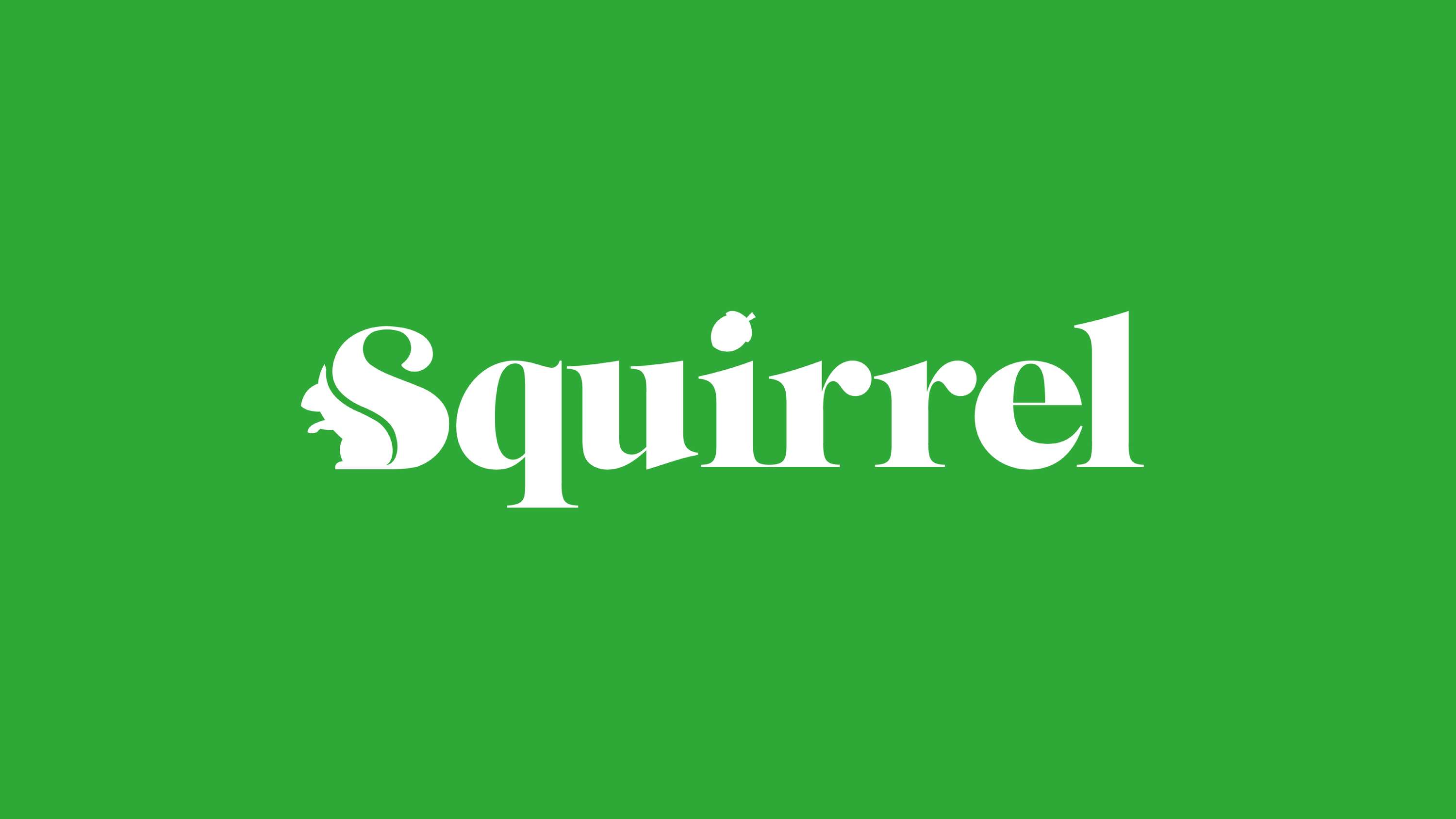 Squirrel by Hannah Mayall
