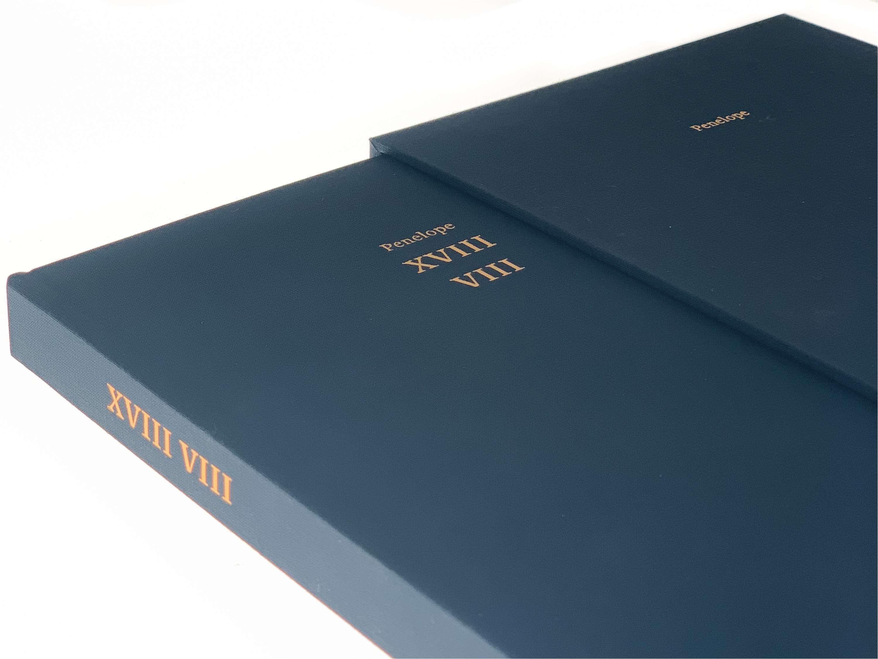 ISTD 2019 - Ulysses by Shivali Patel