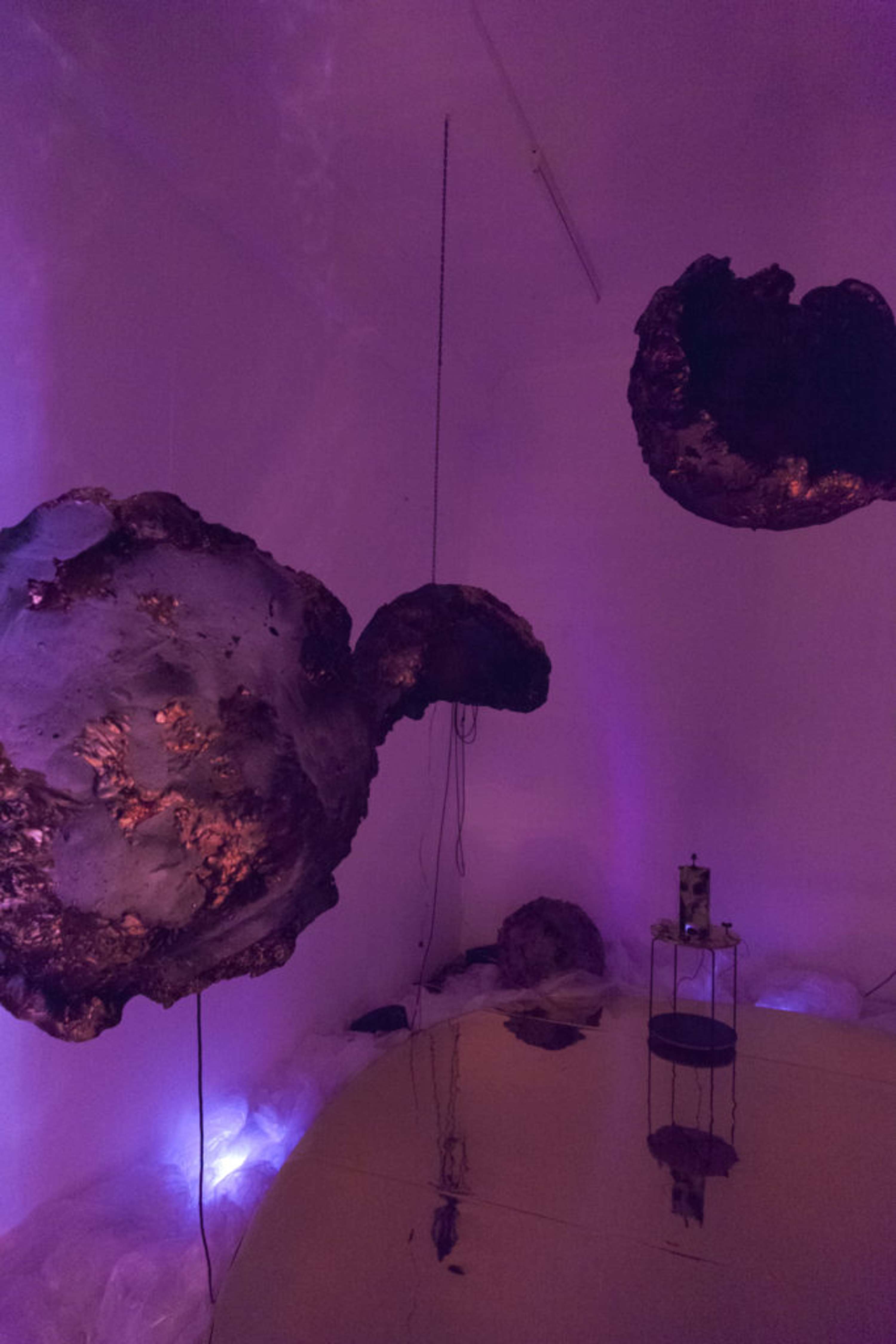 bieTPU [The Transposition Unit] (2019) by Kiara Ama Jade Callender