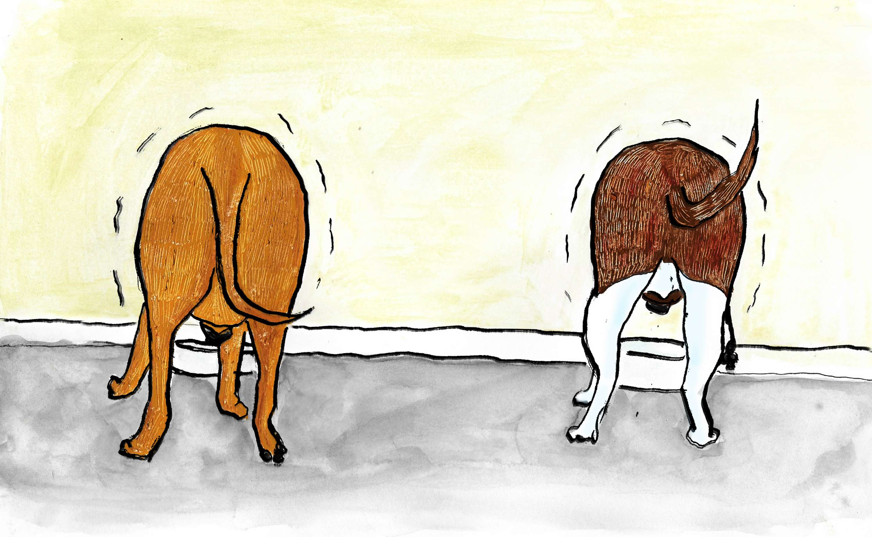Say Hello To Bobblehead & Mooch by Sally Whitton
