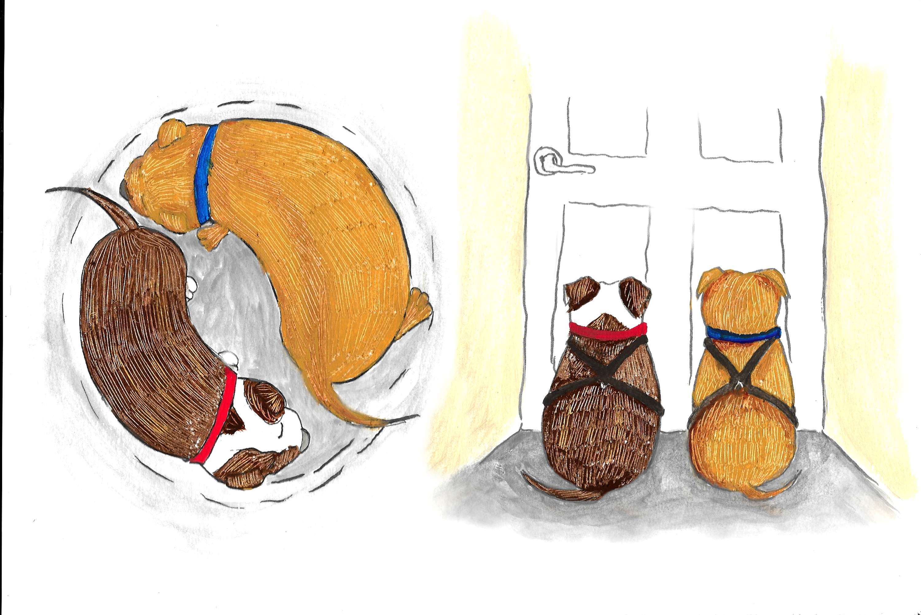 Say Hello To Bobblehead & Mooch by Sally Whitton