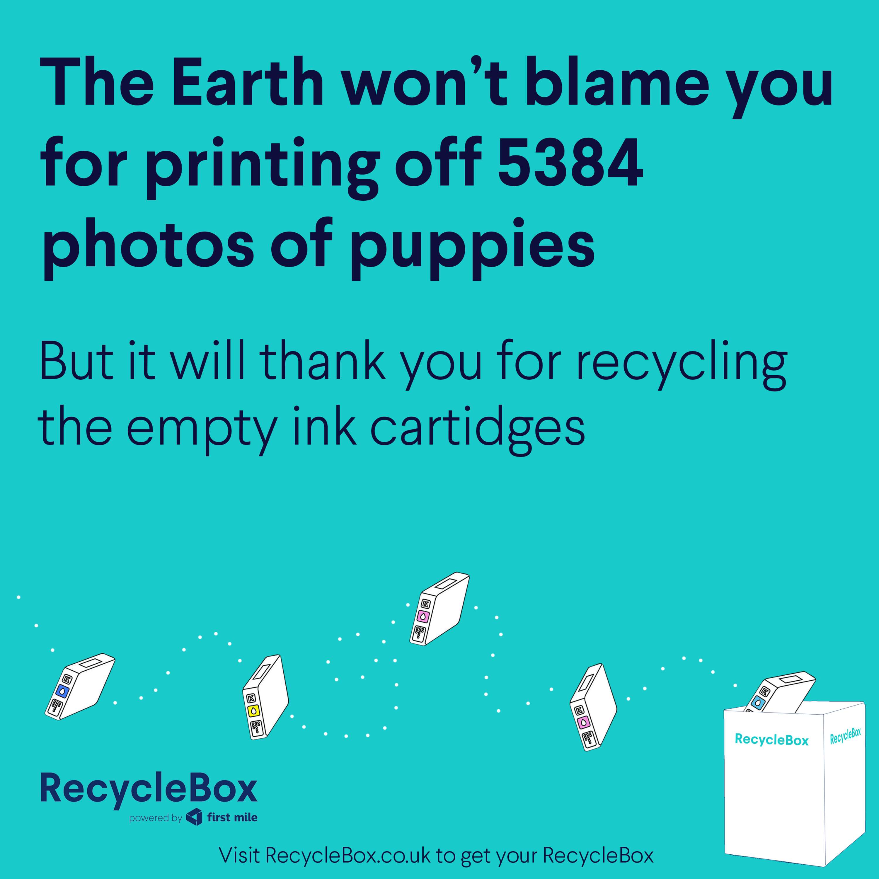 RecycleBox by Rachel Stanley