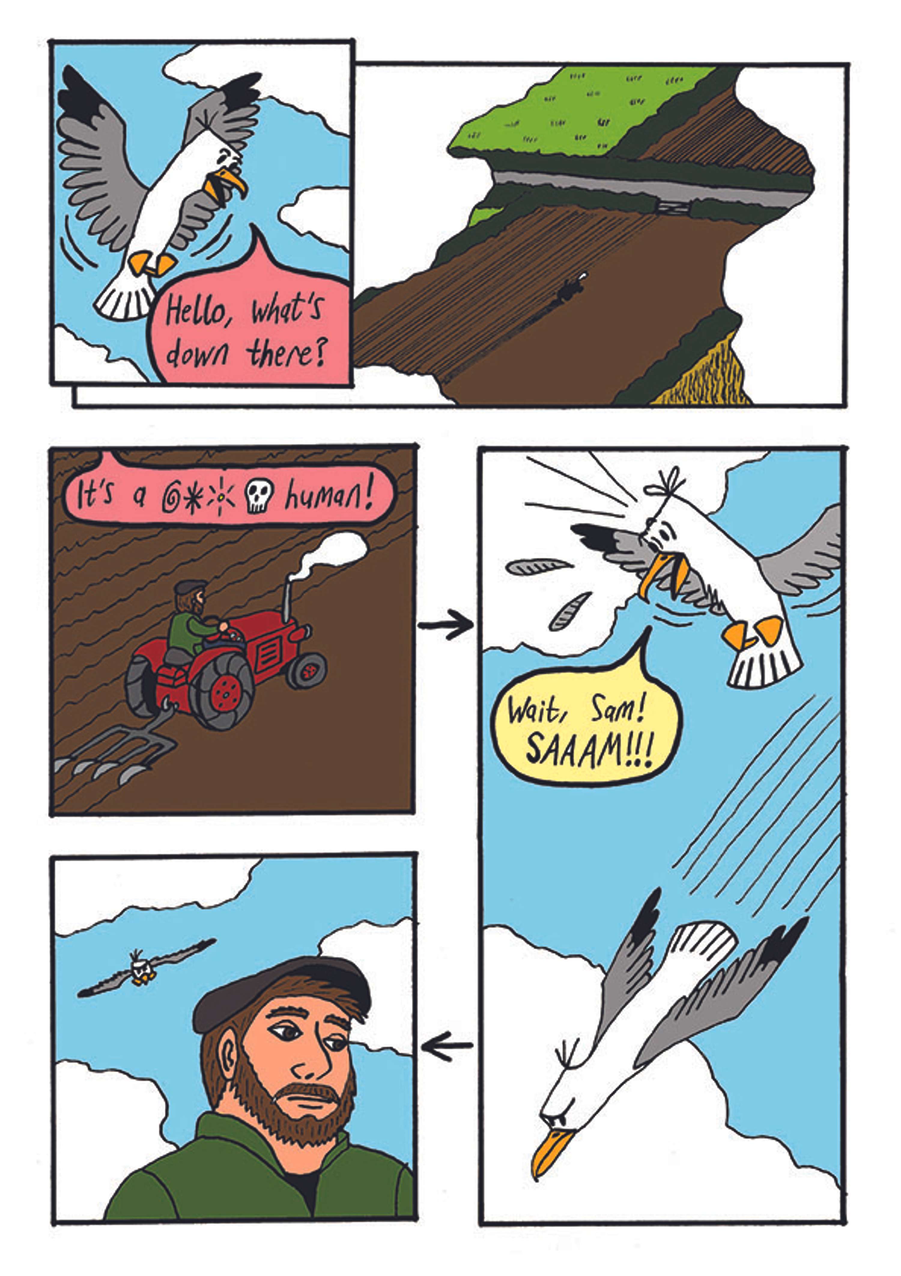 The Wrath of the Birds by Robert Dickson