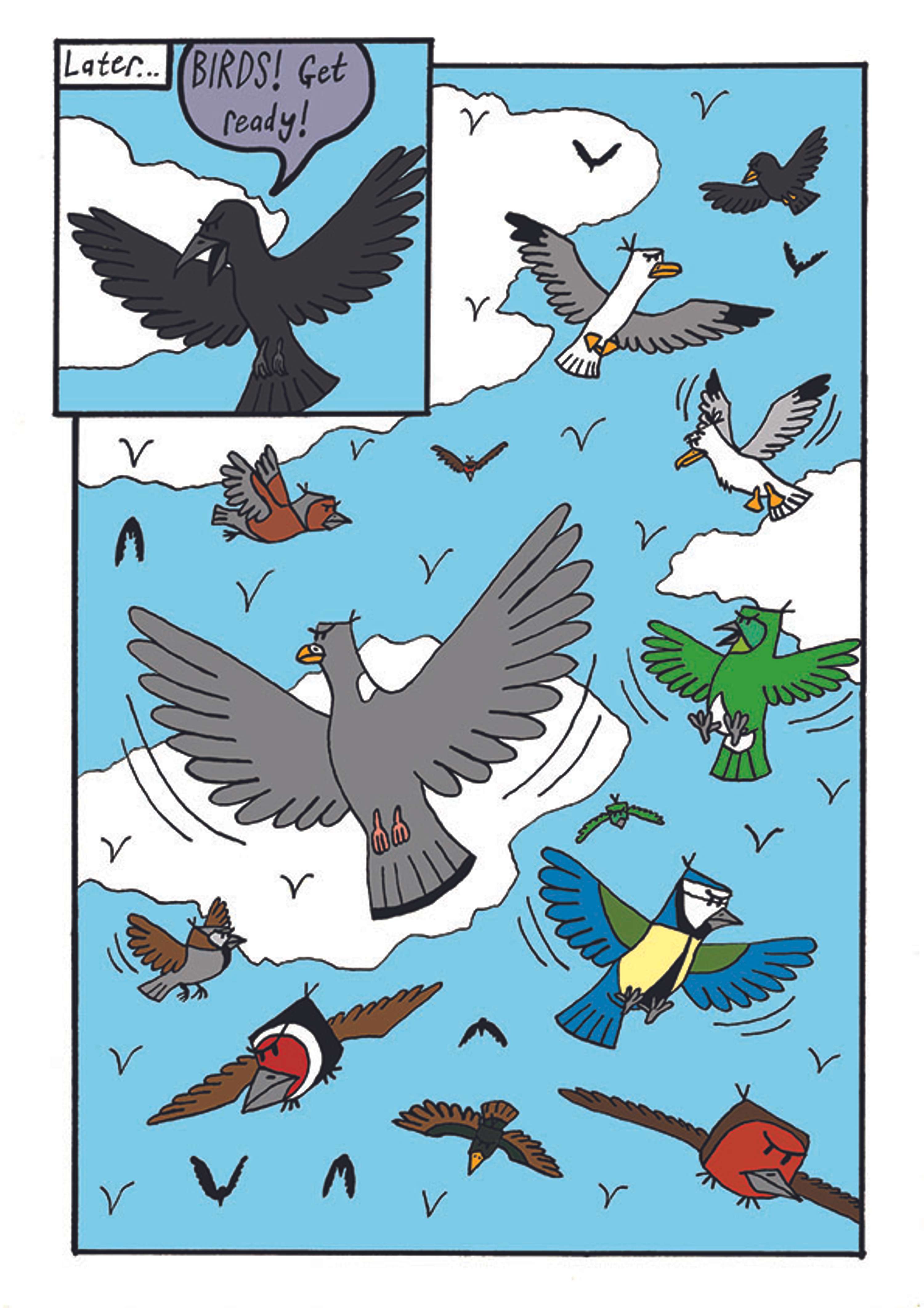 The Wrath of the Birds by Robert Dickson