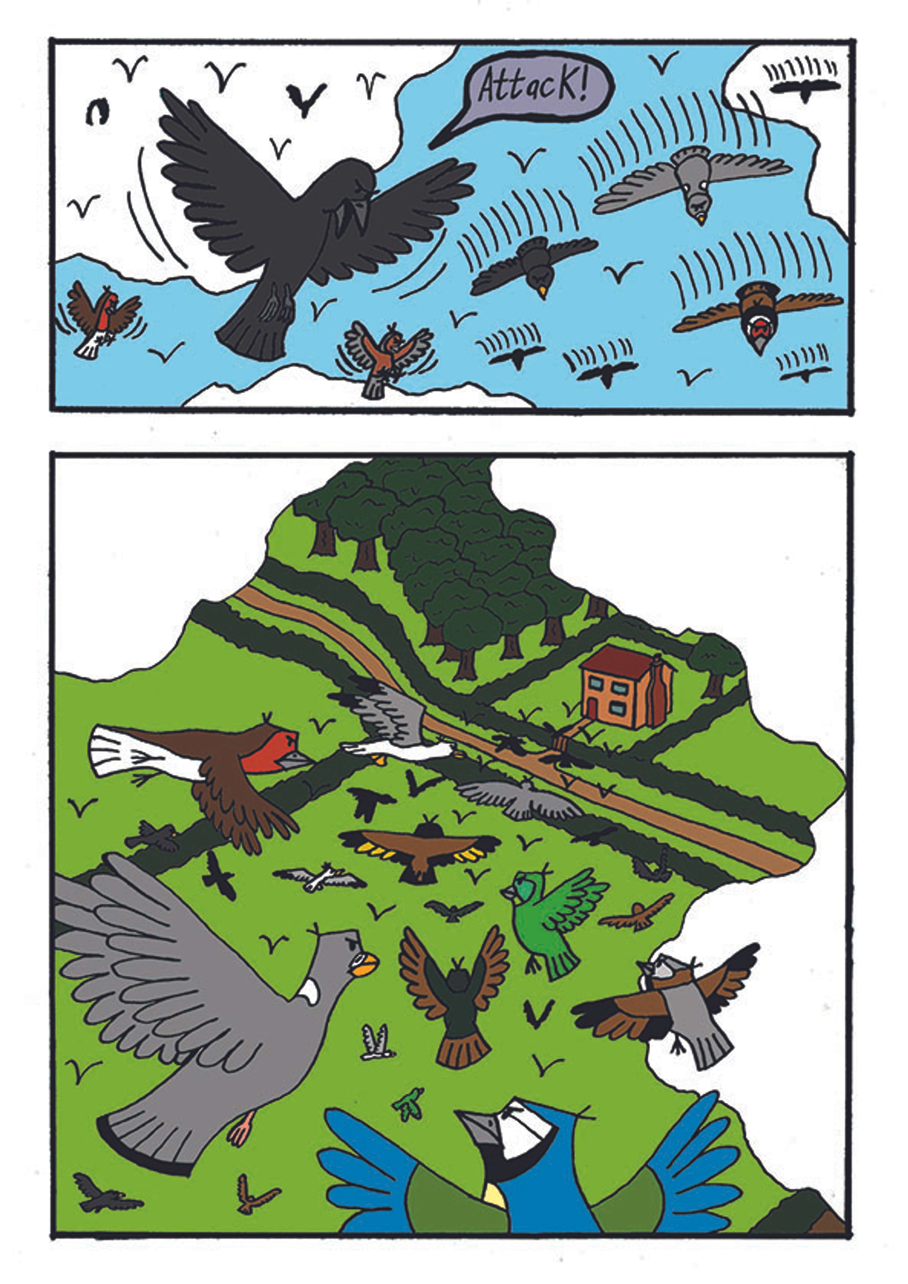 The Wrath of the Birds by Robert Dickson