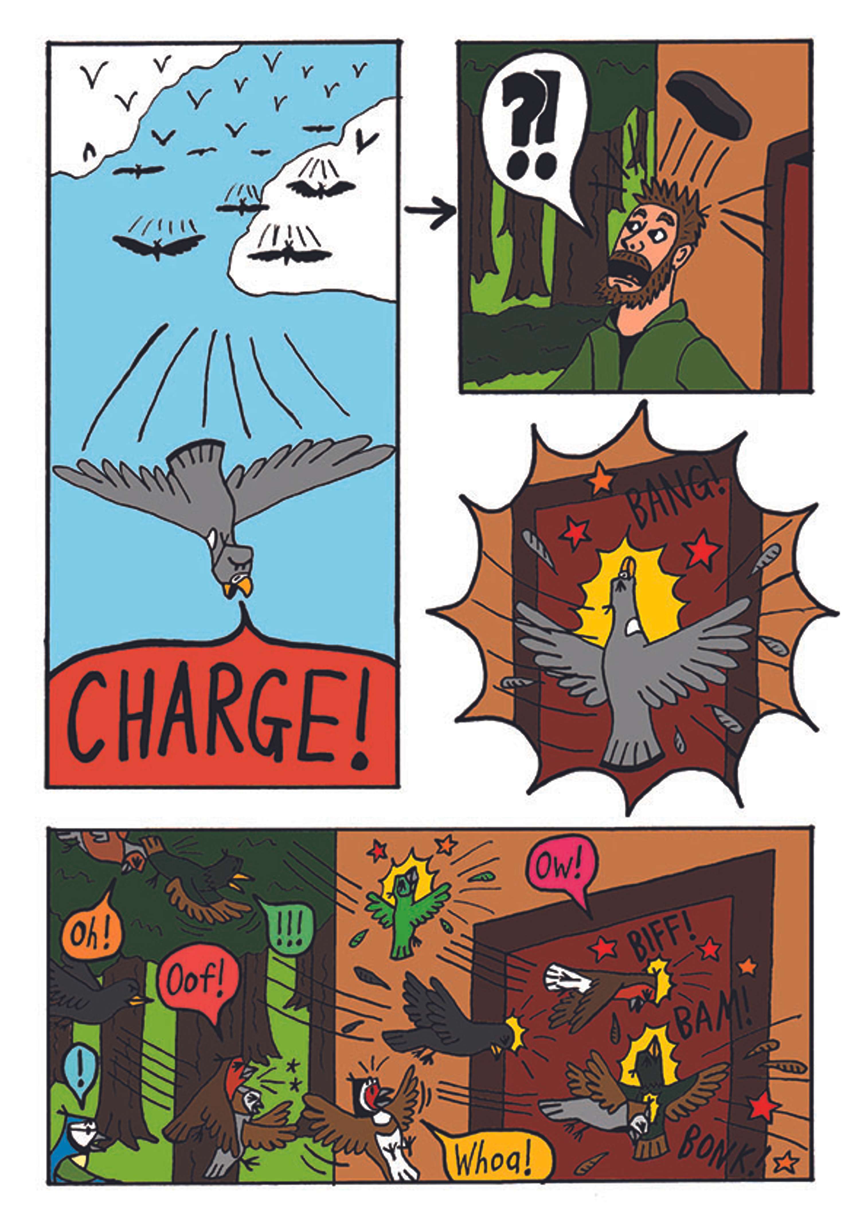 The Wrath of the Birds by Robert Dickson