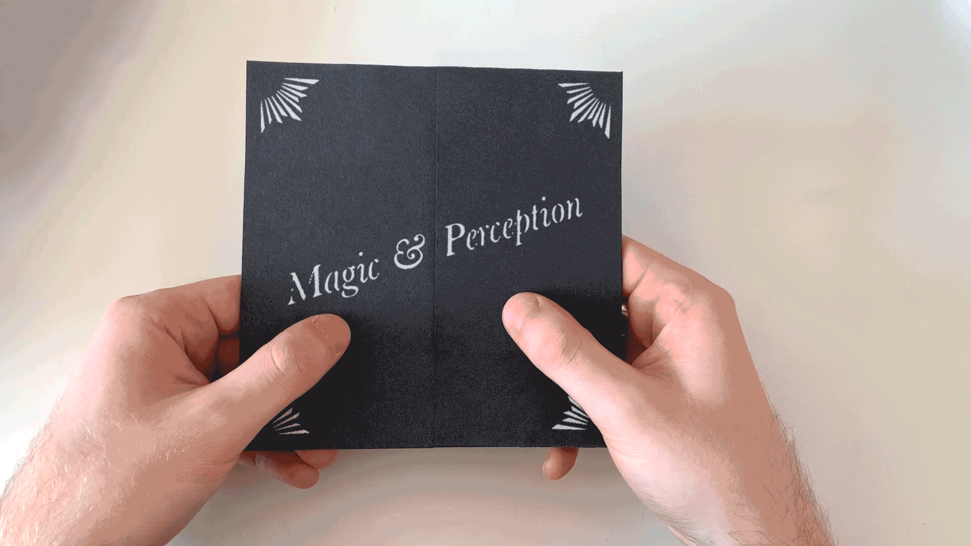 Illusion + Perception by Alex O'Dell