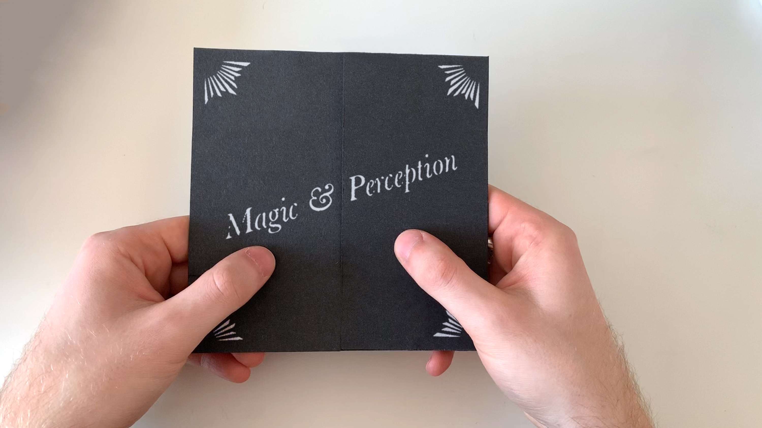 Illusion + Perception by Alex O'Dell