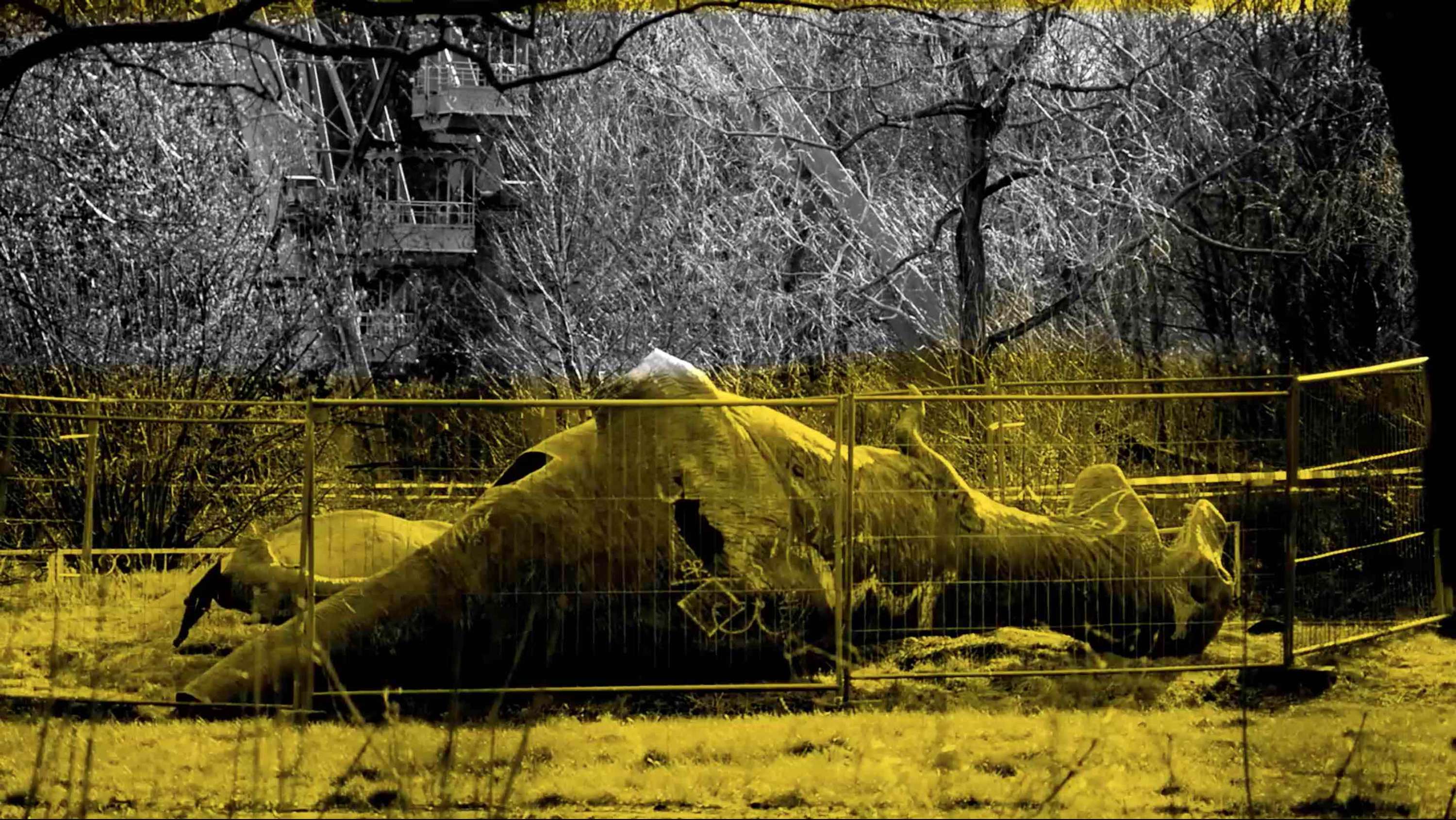 This Was Berlin. by Valentina D'Annunzio
