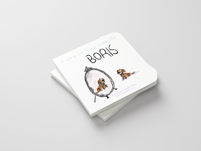 A day in the life of Boris by Valeria Szucs