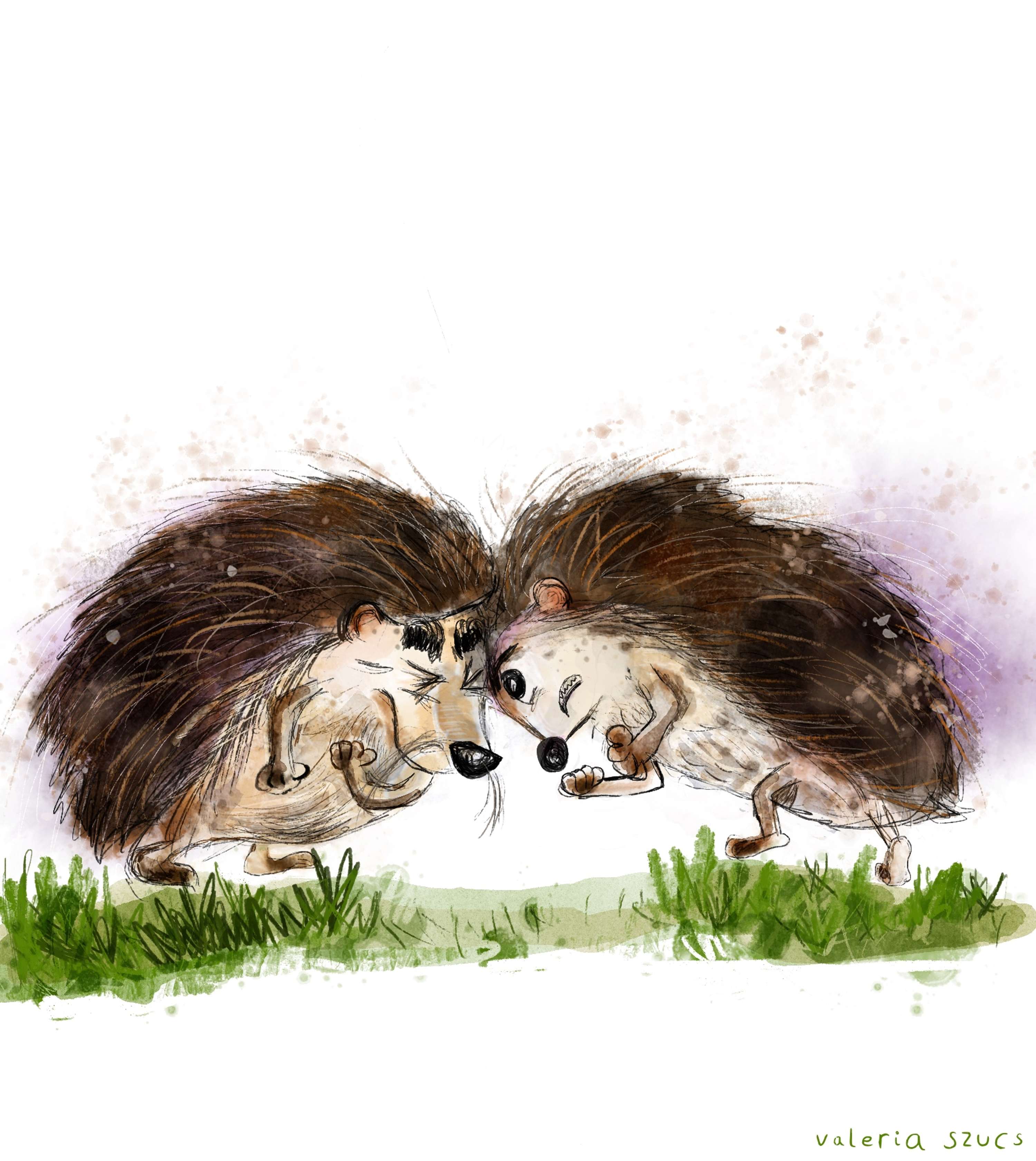 Characters & Illustrations by Valeria Szucs