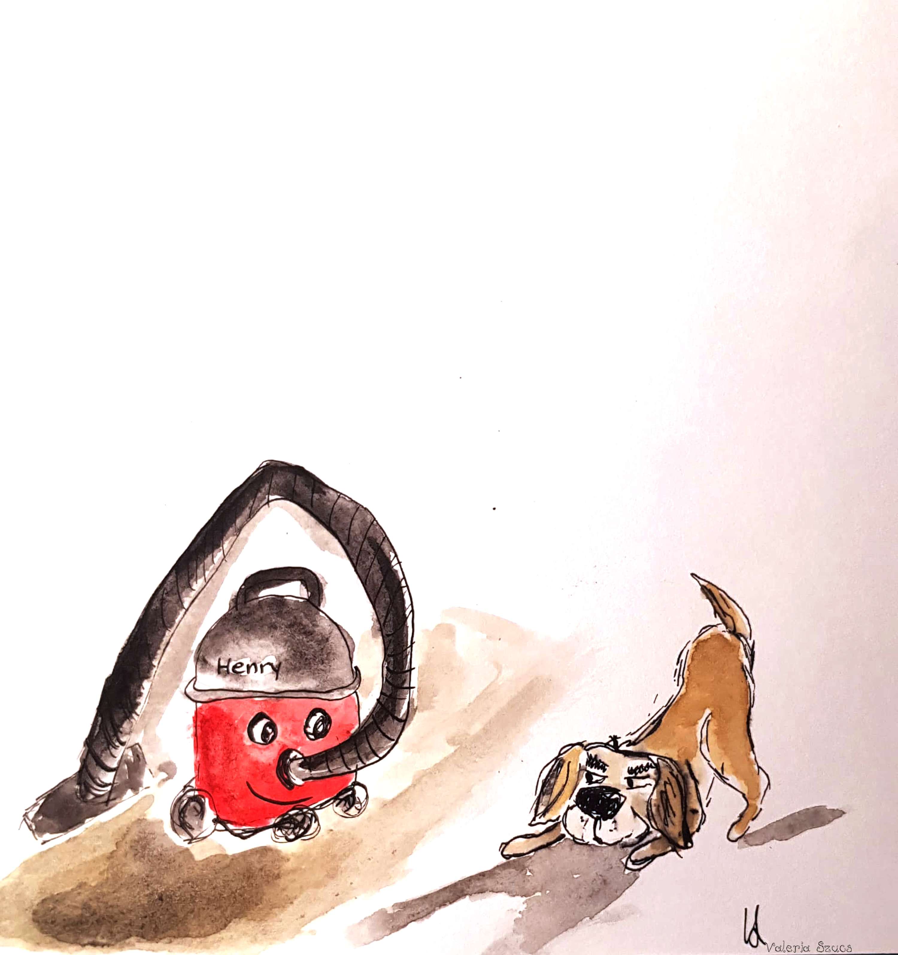 Characters & Illustrations by Valeria Szucs