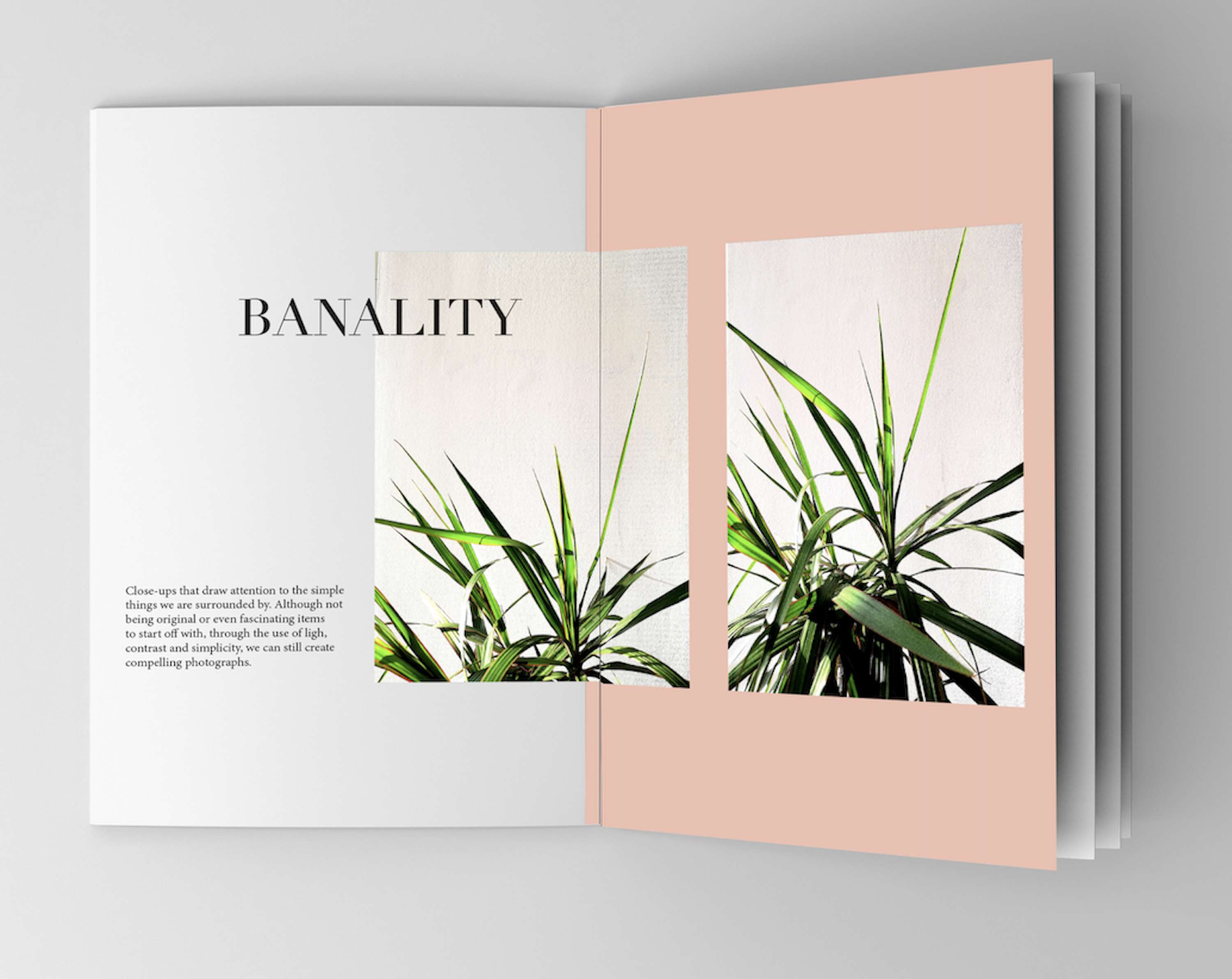 Self-Initiated Project by Eveline Kinzkofer